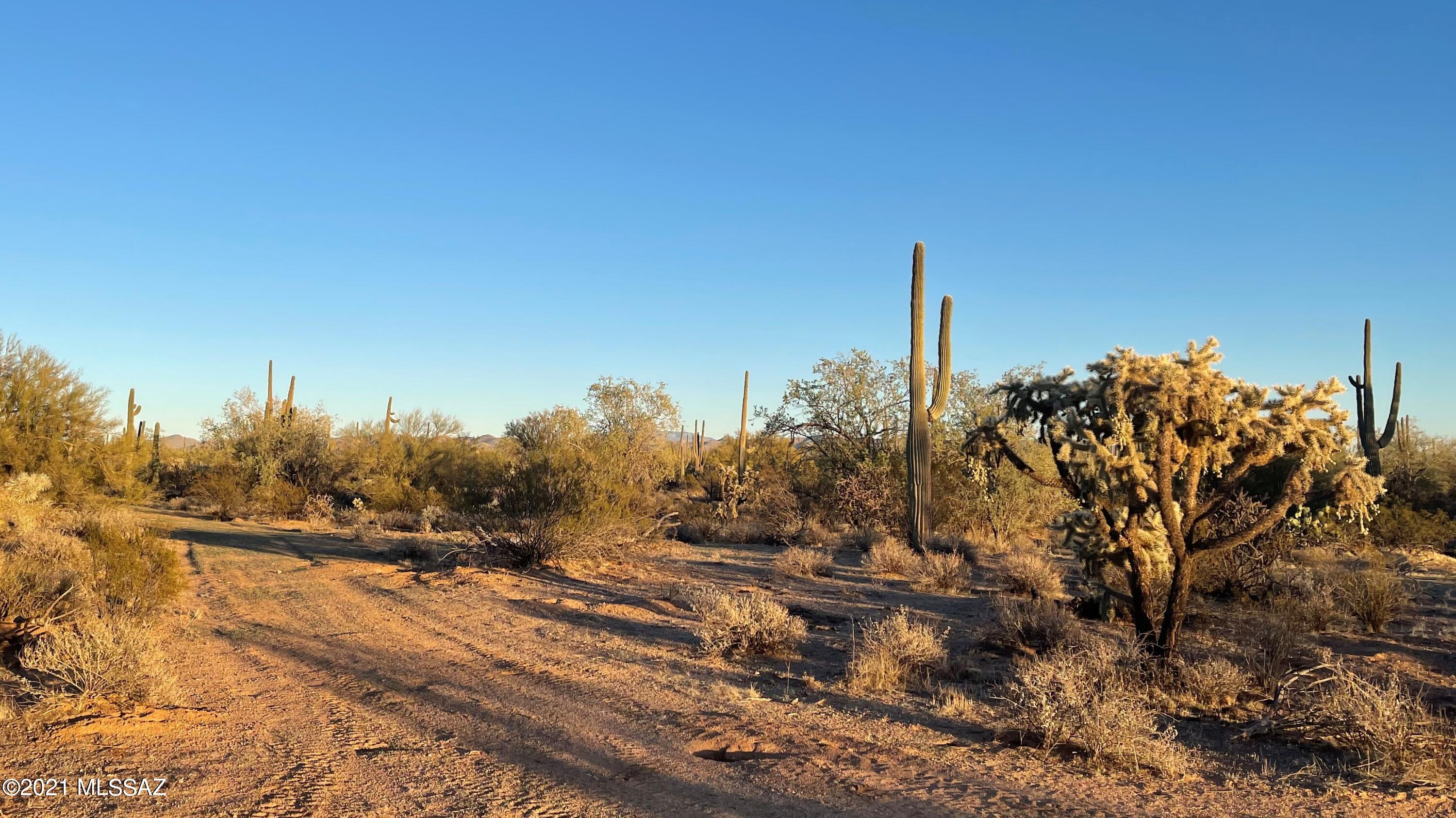 South Cattle Tank Road, Unit 20 Marana, AZ 85658 - Photo 20 of 20