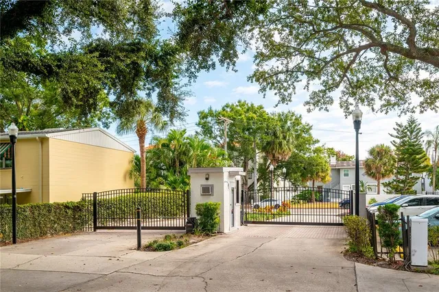a view of a street with a large tree in front of it