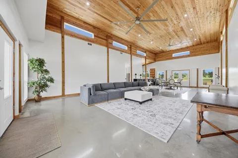 a living room with furniture and a potted plant