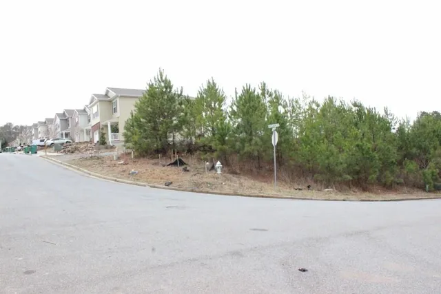 a view of a yard with a tree