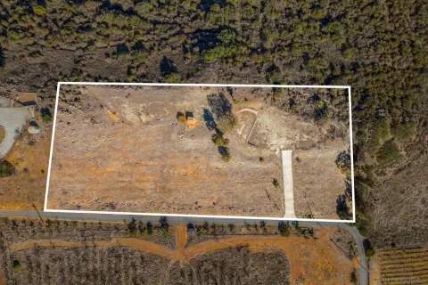 a view of yard with wooden floor