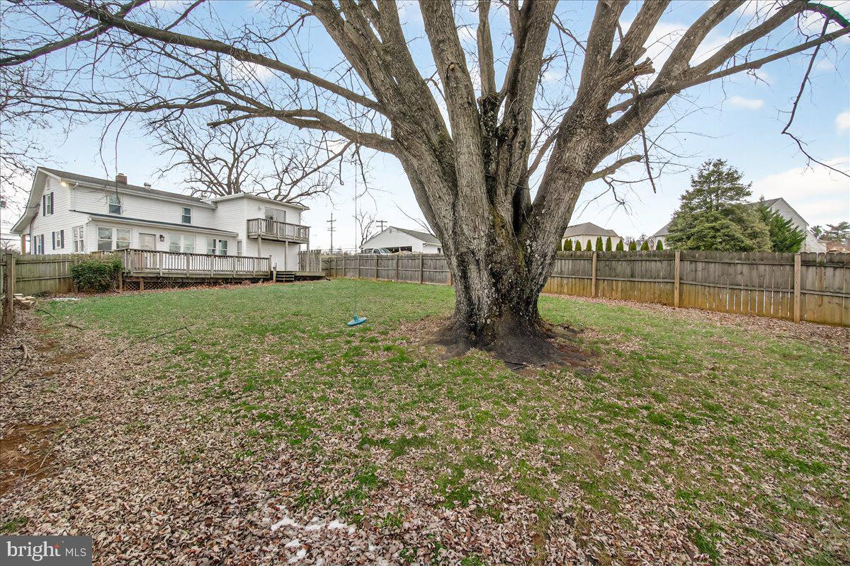 2702 Canada Hill Road Myersville, MD 21773 - Photo 43 of 57 Nice tree for a tree house!