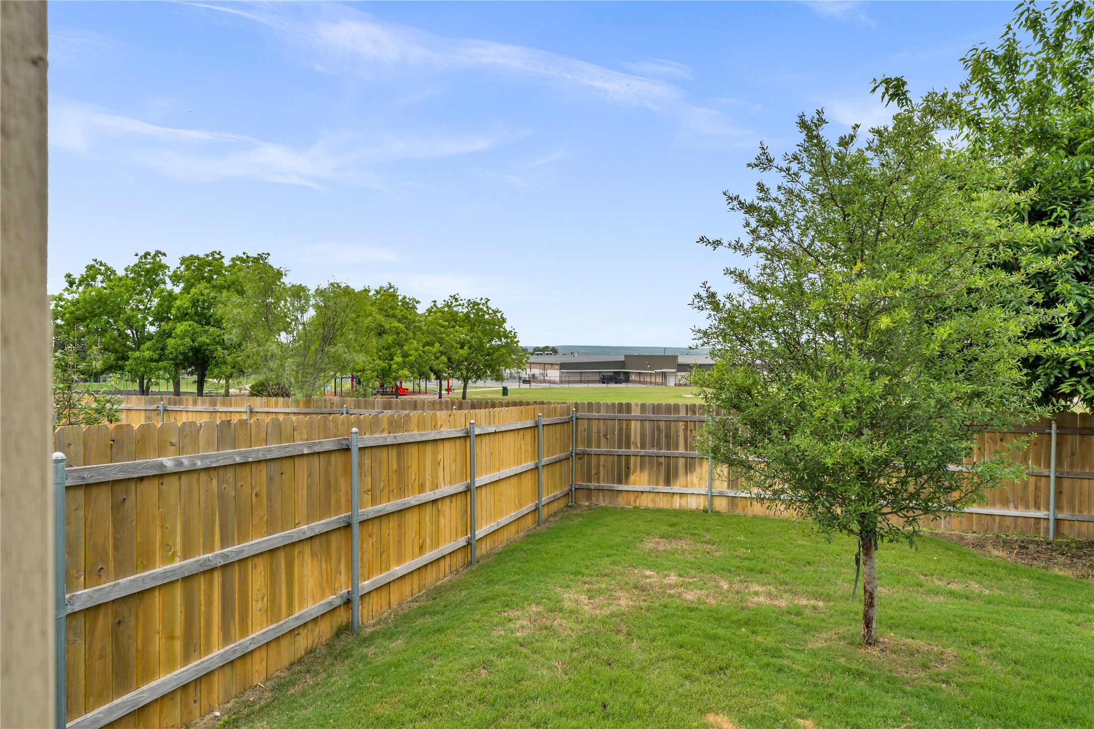 132 Cinnamon Loop Burnet, TX 78611 - Photo 25 of 27 Grassed backyard featuring a wood privacy fence and a young tree