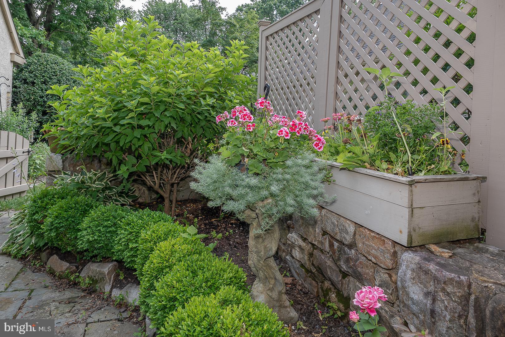 431 Waynesbrooke Road Berwyn, PA 19312 - Photo 56 of 63 a view of a potted flower in a yard