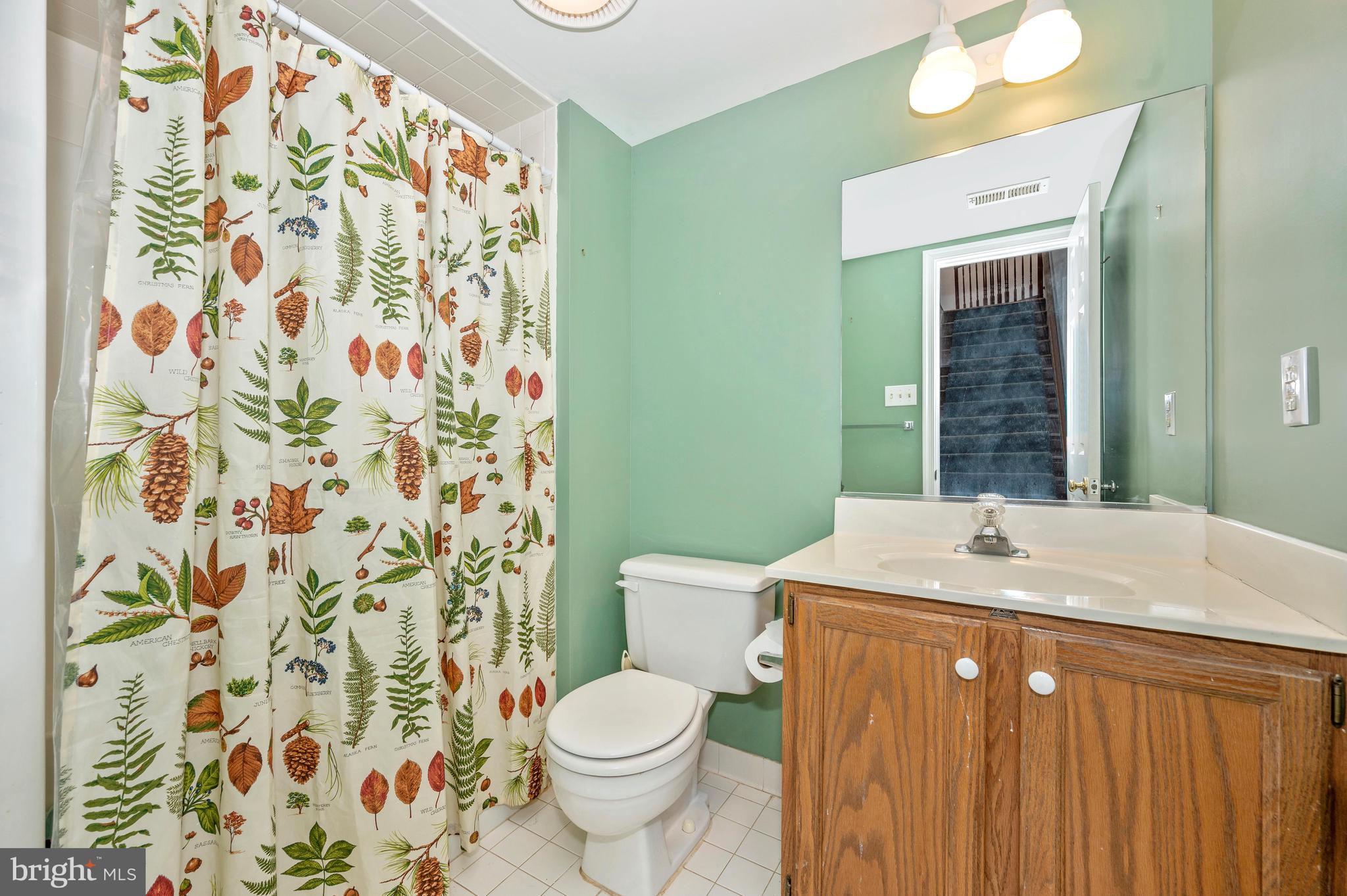 6250 Picnic Woods Road Jefferson, MD 21755 - Photo 36 of 76 Bathroom