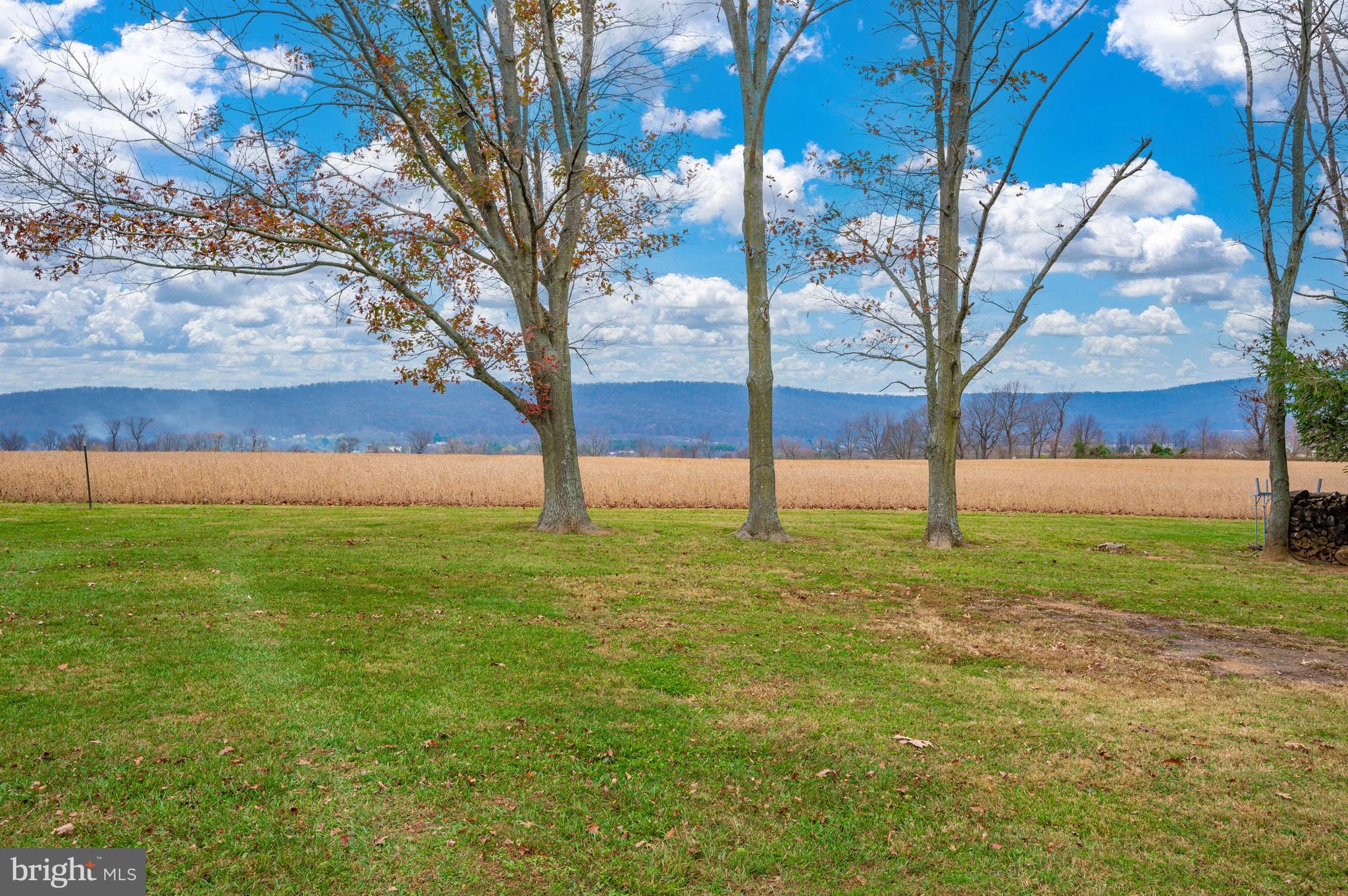 6250 Picnic Woods Road Jefferson, MD 21755 - Photo 54 of 76 Exterior Back View