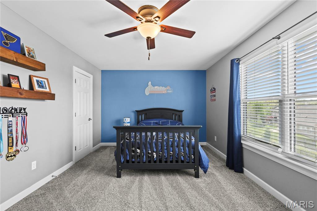 1035 Sable Lane Arnold, MO 63010 - Photo 59 of 94