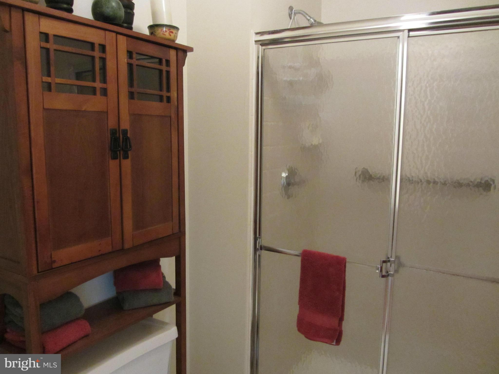 532 Coover Road Annapolis, MD 21401 - Photo 20 of 30 Bath (Master)