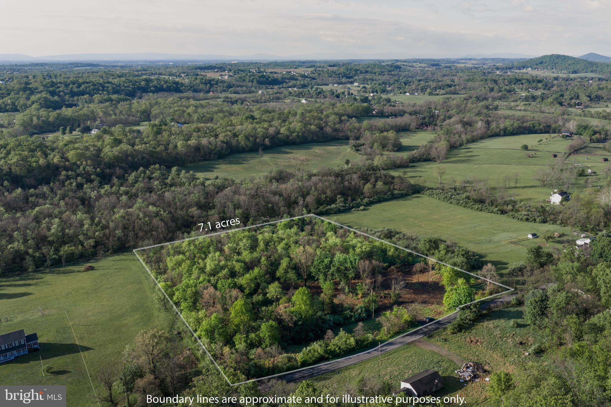 384 Frog Hollow Road Winchester, VA 22603 - Photo 1 of 11
