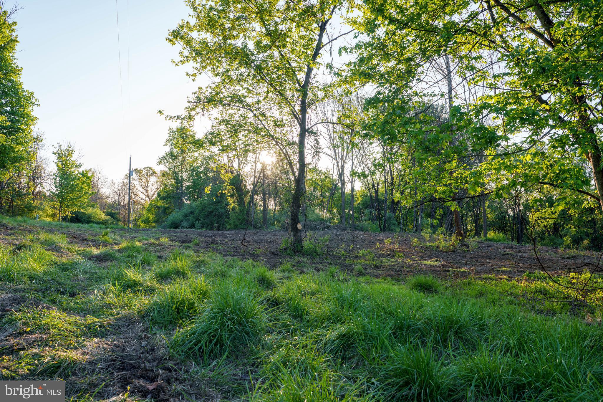 384 Frog Hollow Road Winchester, VA 22603 - Photo 3 of 11