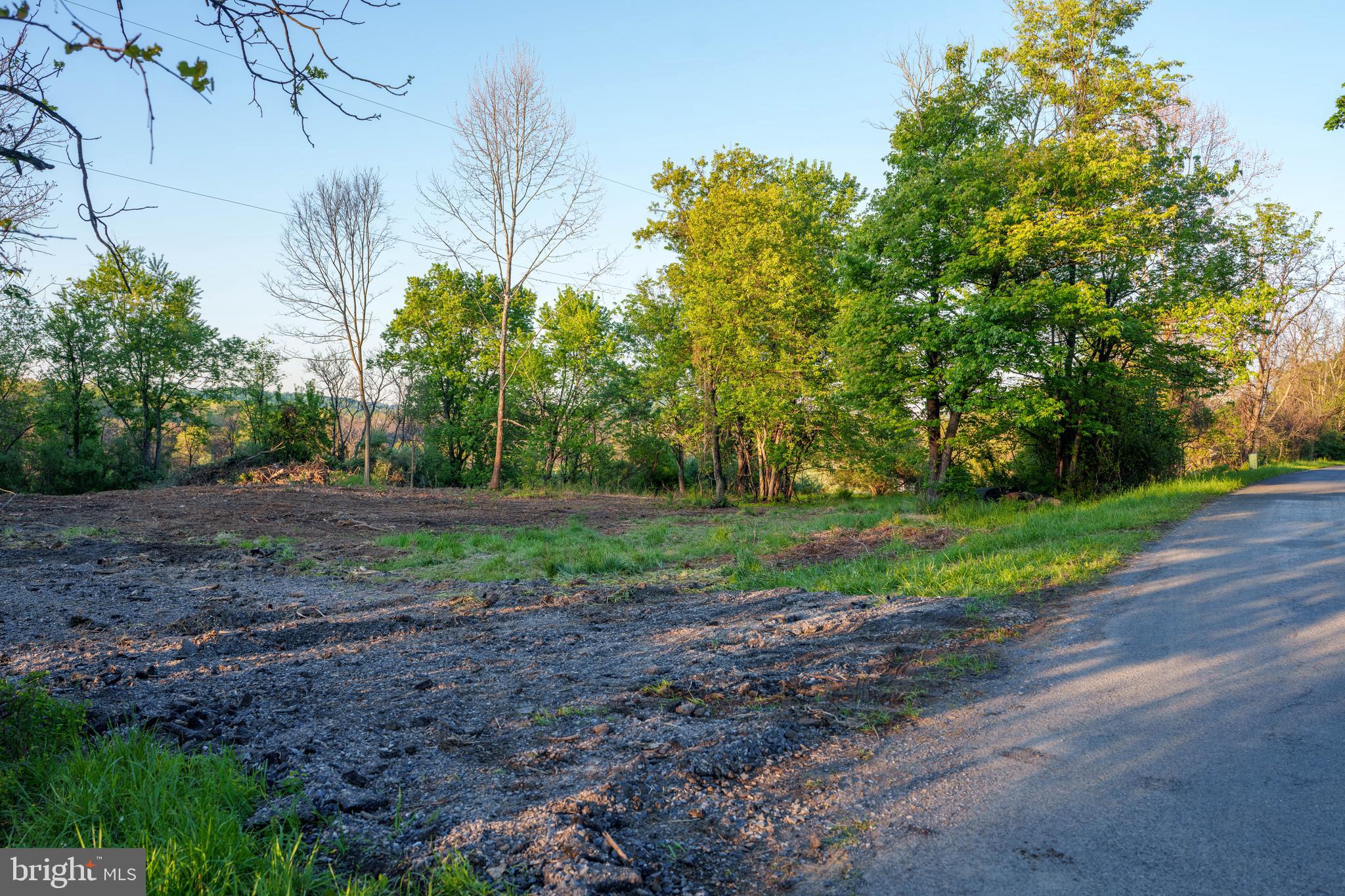 384 Frog Hollow Road Winchester, VA 22603 - Photo 4 of 11