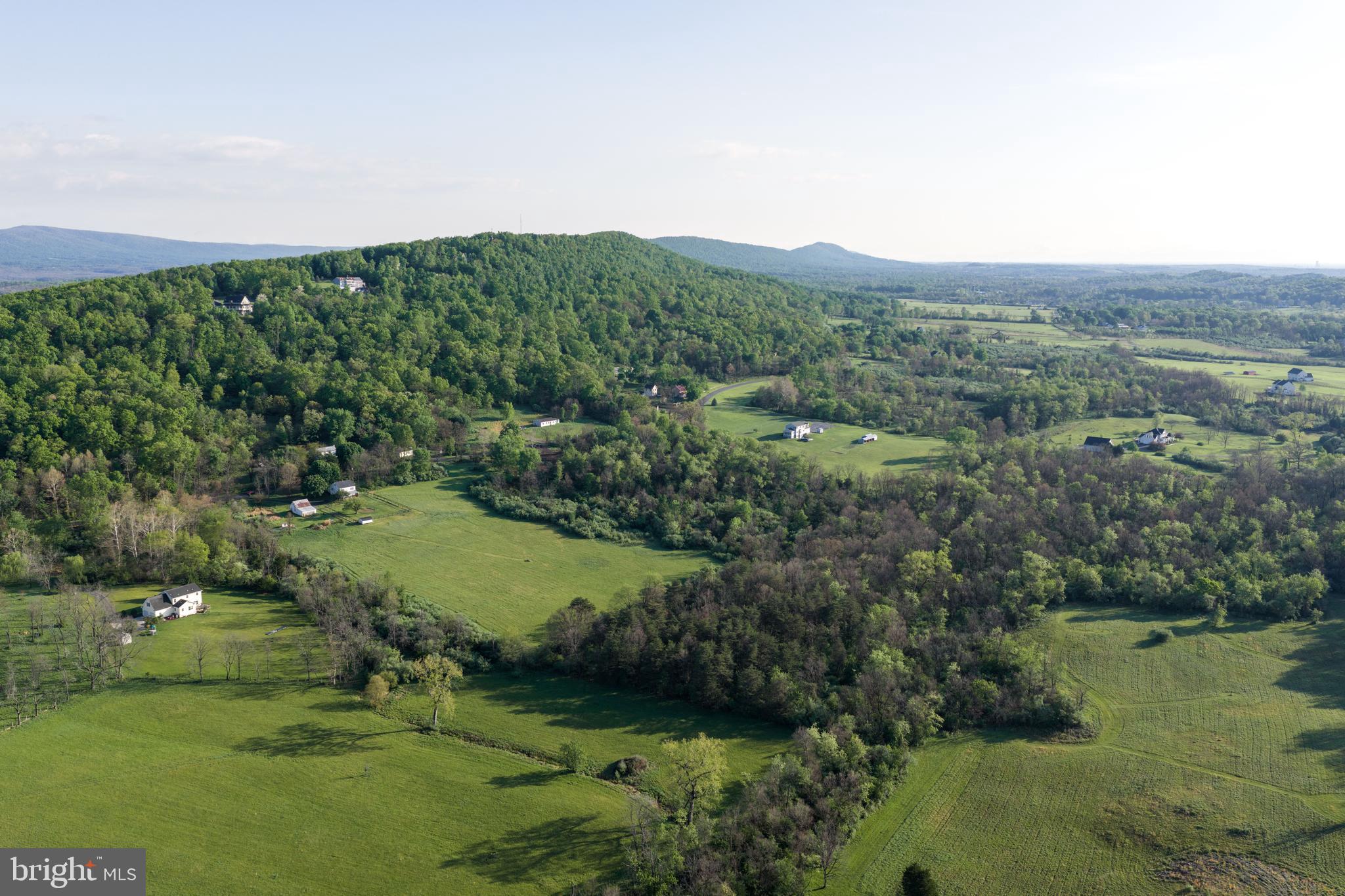 384 Frog Hollow Road Winchester, VA 22603 - Photo 7 of 11