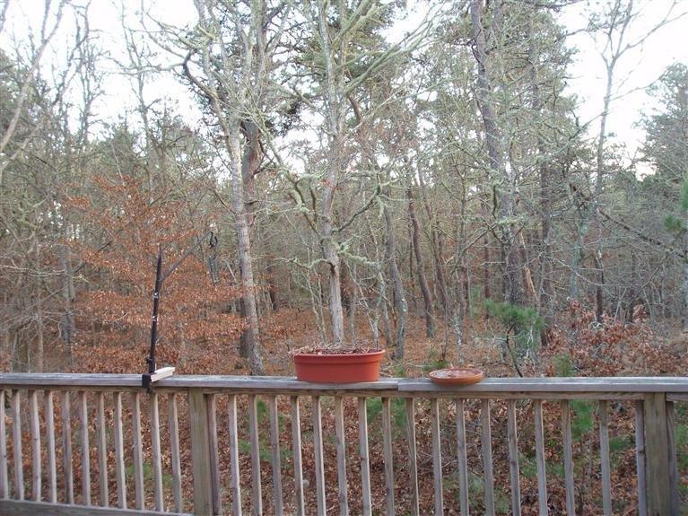 65 Round Cove Road Harwich, MA 02645 - Photo 4 of 22 Additional Photo