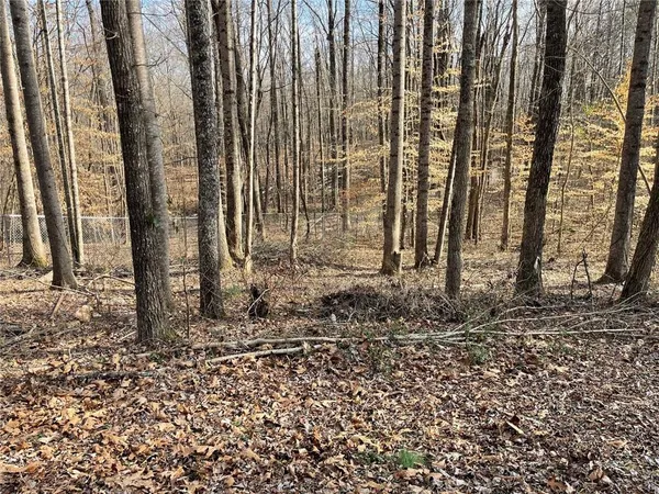 a view of a backyard with potted plants