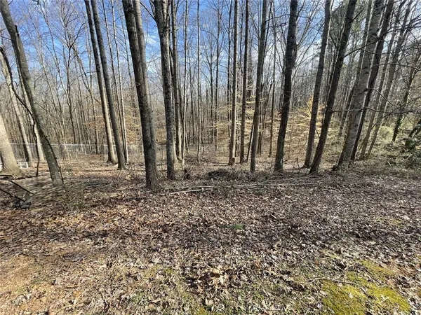 a view of outdoor space with deck and tree