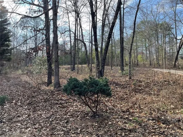 a view of backyard with tree