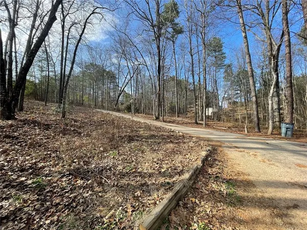 a view of a yard with trees