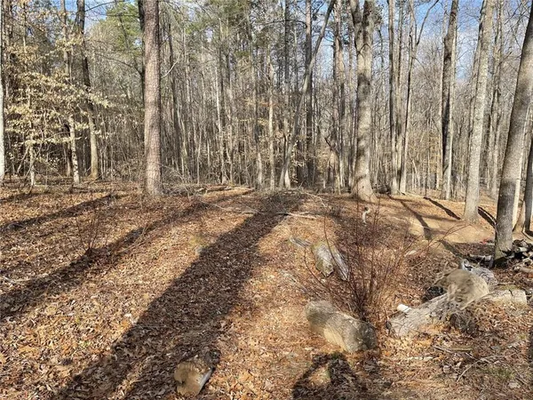 a view of yard with trees