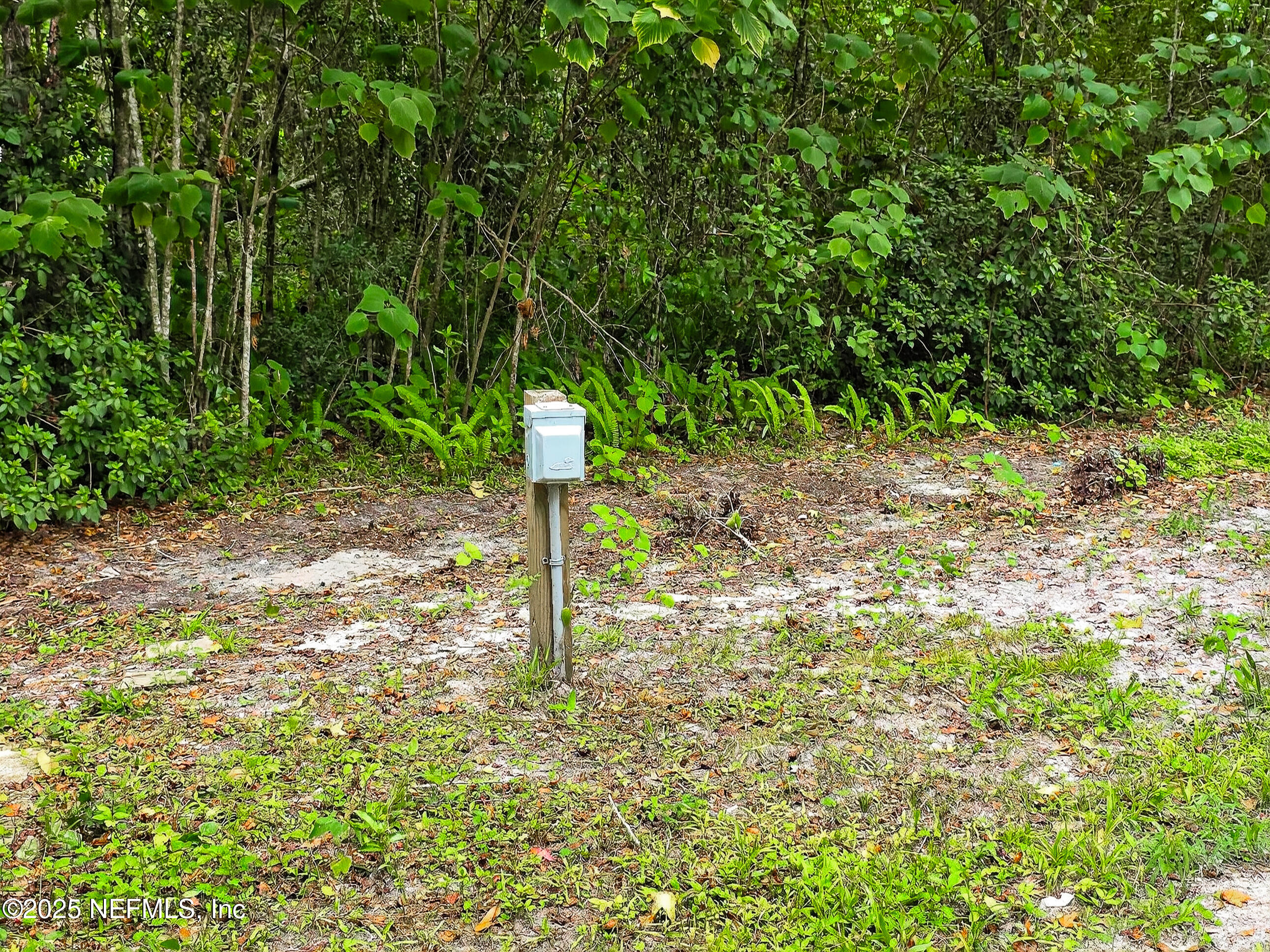 9332 Cedar Road Macclenny, FL 32063 - Photo 32 of 35 a front view of a house with a tree