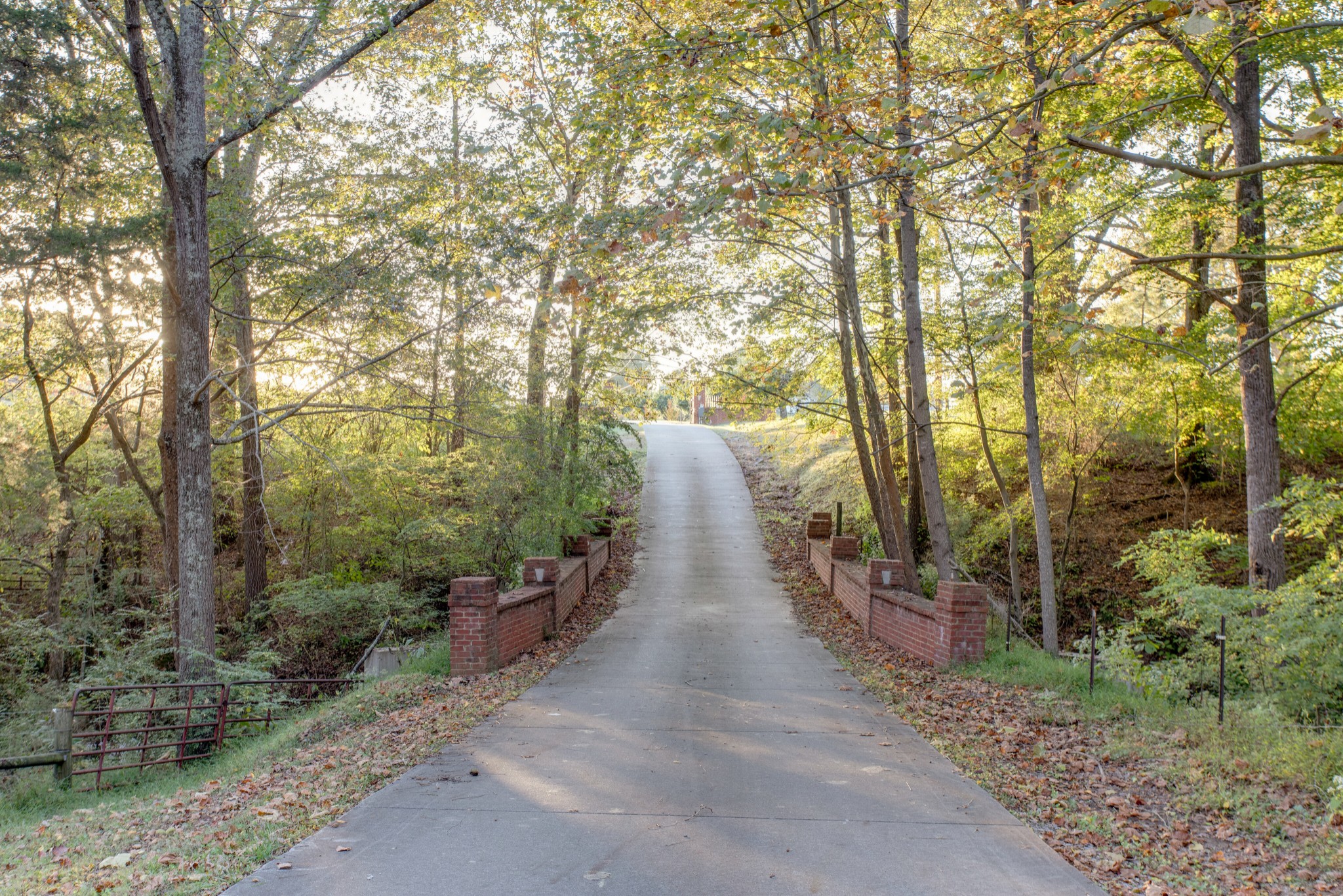 2295 Gideon Road Greenbrier, TN 37073 - Photo 4 of 48 a view of a pathway with a trees