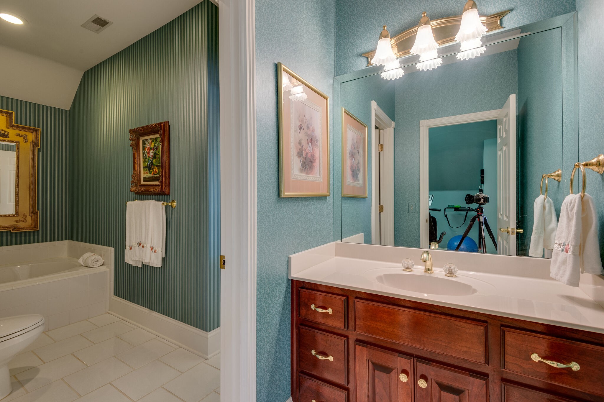 2295 Gideon Road Greenbrier, TN 37073 - Photo 32 of 48 a bathroom with a sink and a mirror
