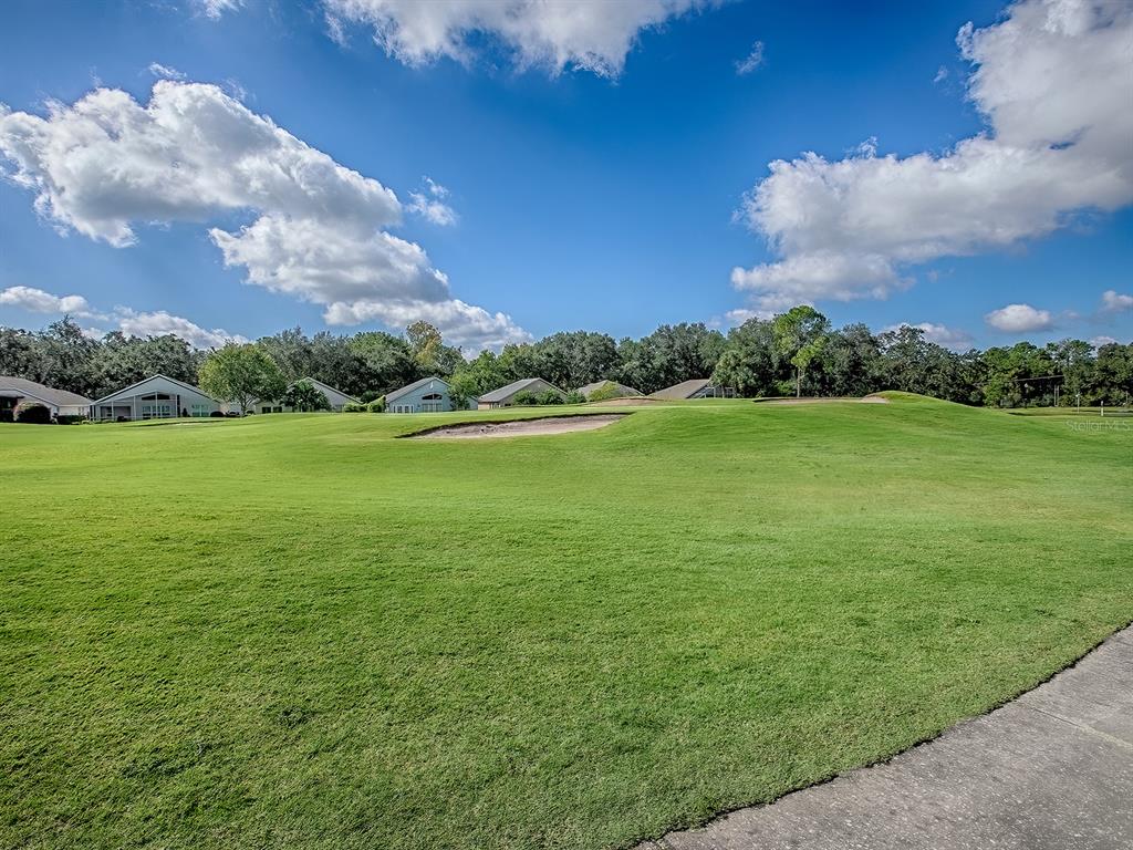 3016 Andover Court Mount Dora, FL 32757 - Photo 4 of 71