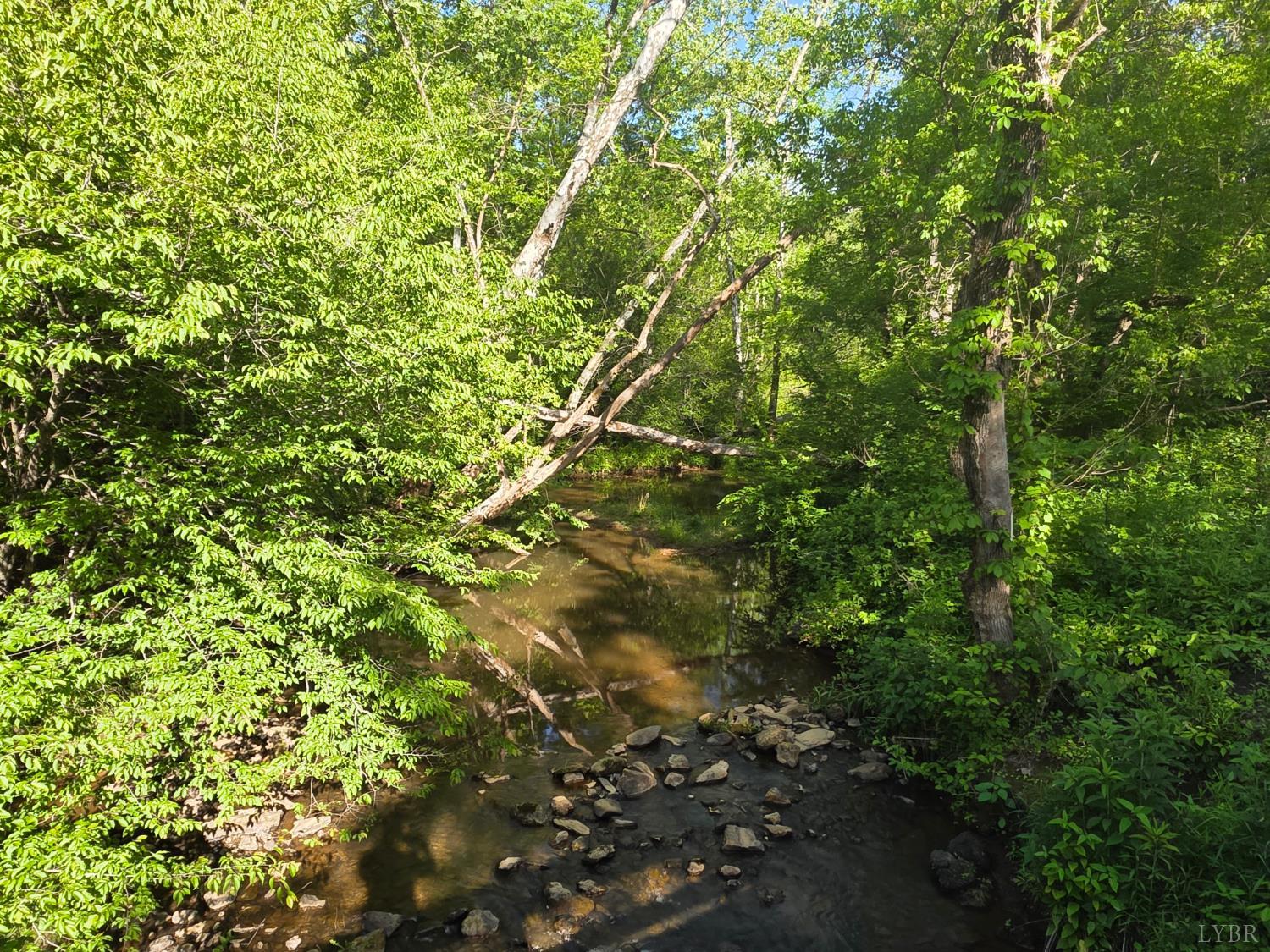 0 Dreaming Creek Road Concord, VA 24538 - Photo 2 of 15