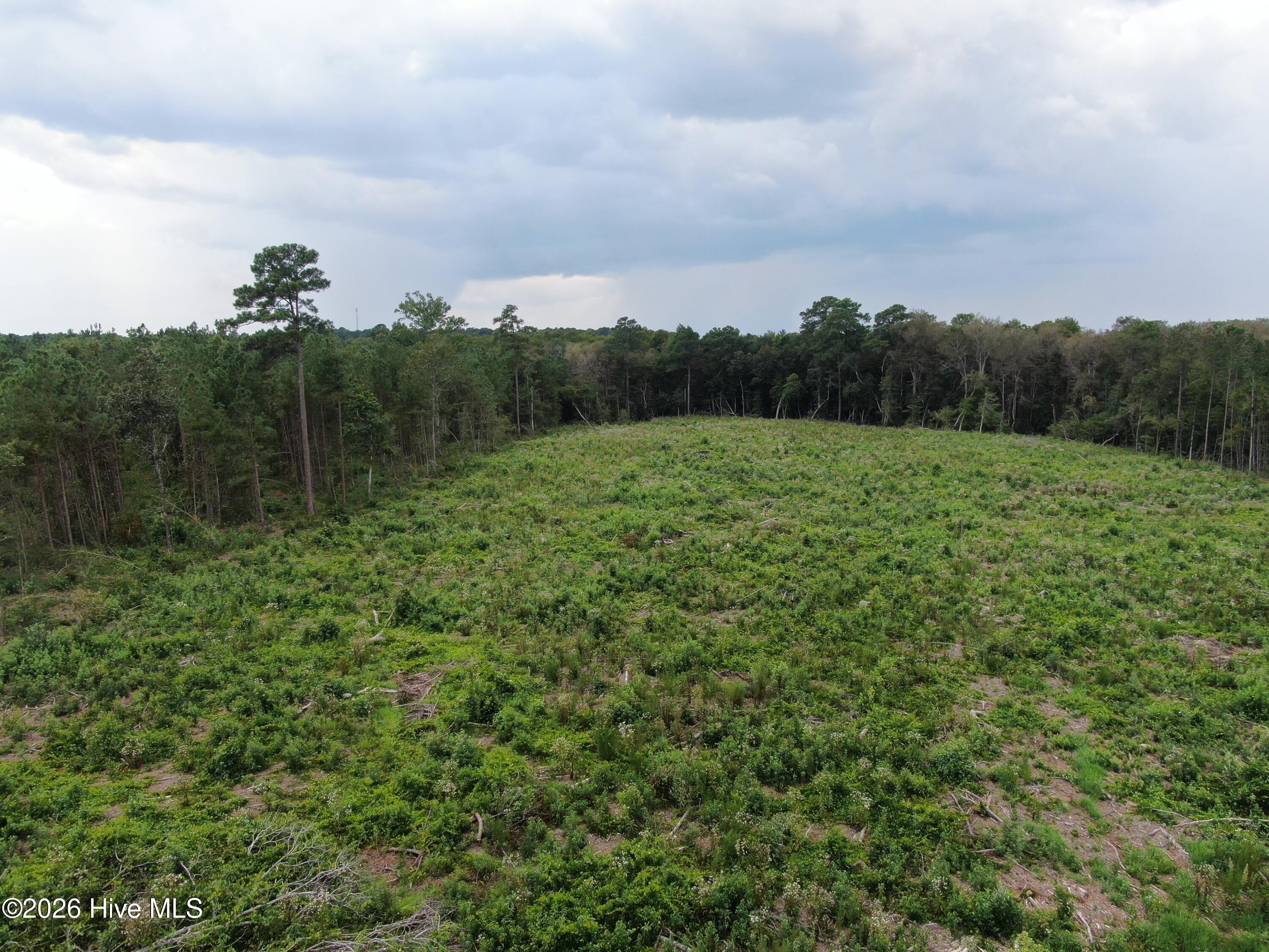 Tbd Johns Mill Road Maxton, NC 28364 - Photo 21 of 28 Gallery Image 21