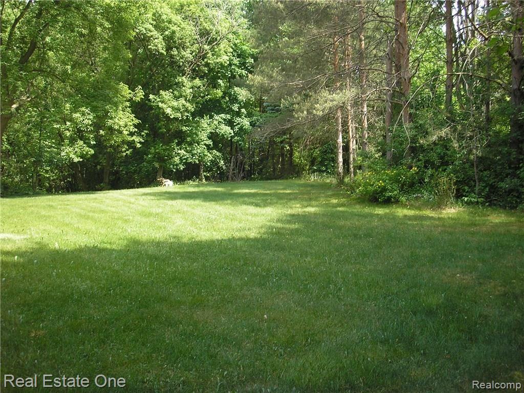 1169 Hemingway Road Lake Orion, MI 48360 - Photo 8 of 30 P1010094.JPG