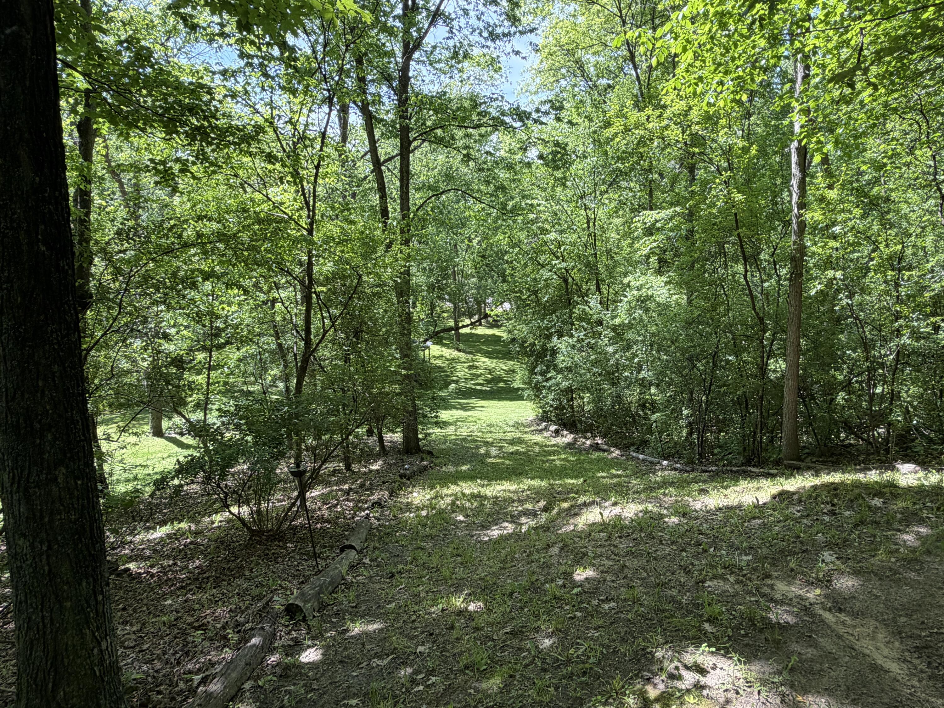 S7750 Carter Valley Lane Kickapoo, WI 54652 - Photo 27 of 54 Toboggan Run