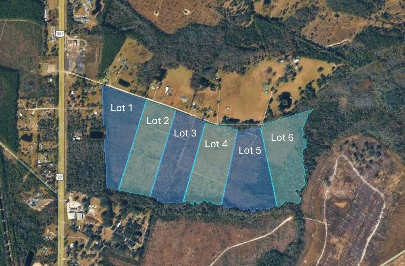 Lot 3 Davis Road Hilliard, FL 32046 - Photo 3 of 22 Gallery Image 3