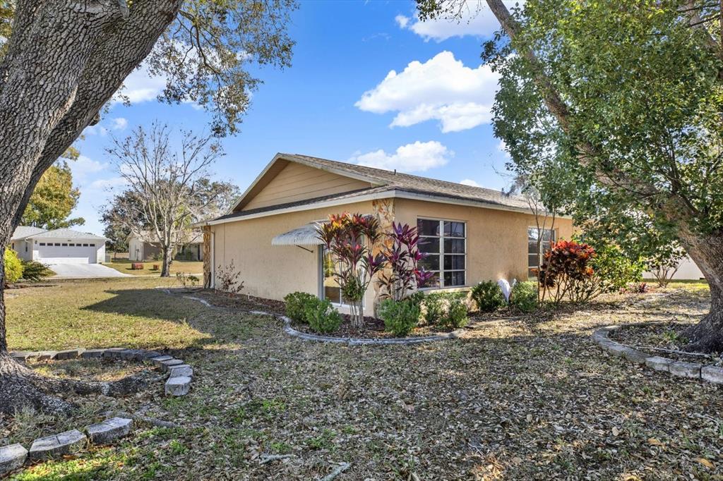 8410 Elgin Drive Port Richey, FL 34668 - Photo 32 of 37 a view of a house with a yard and large tree