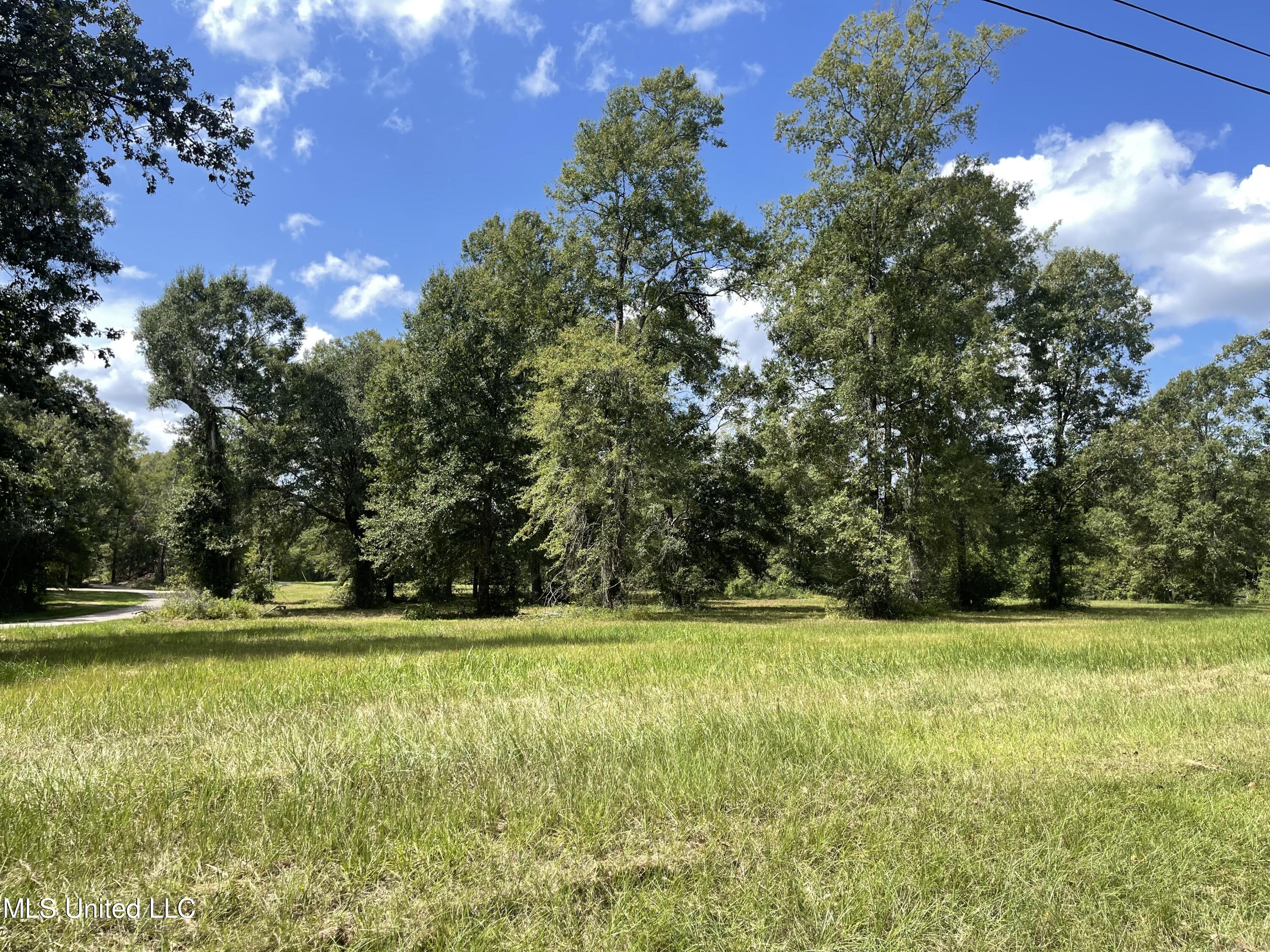 17 Hammock Road Carriere, MS 39426 - Photo 3 of 9 IMG_9626