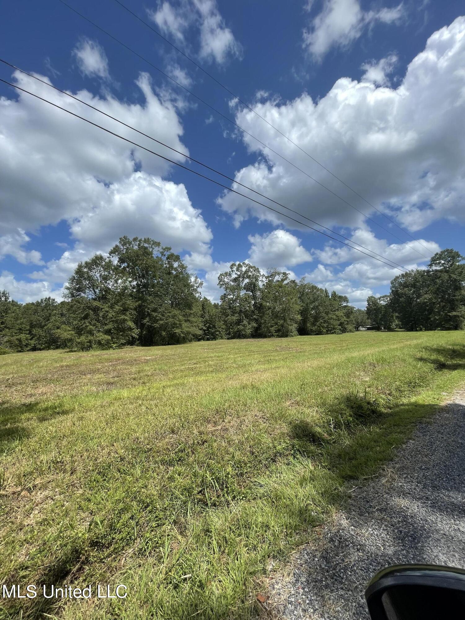 17 Hammock Road Carriere, MS 39426 - Photo 6 of 9 IMG_9635