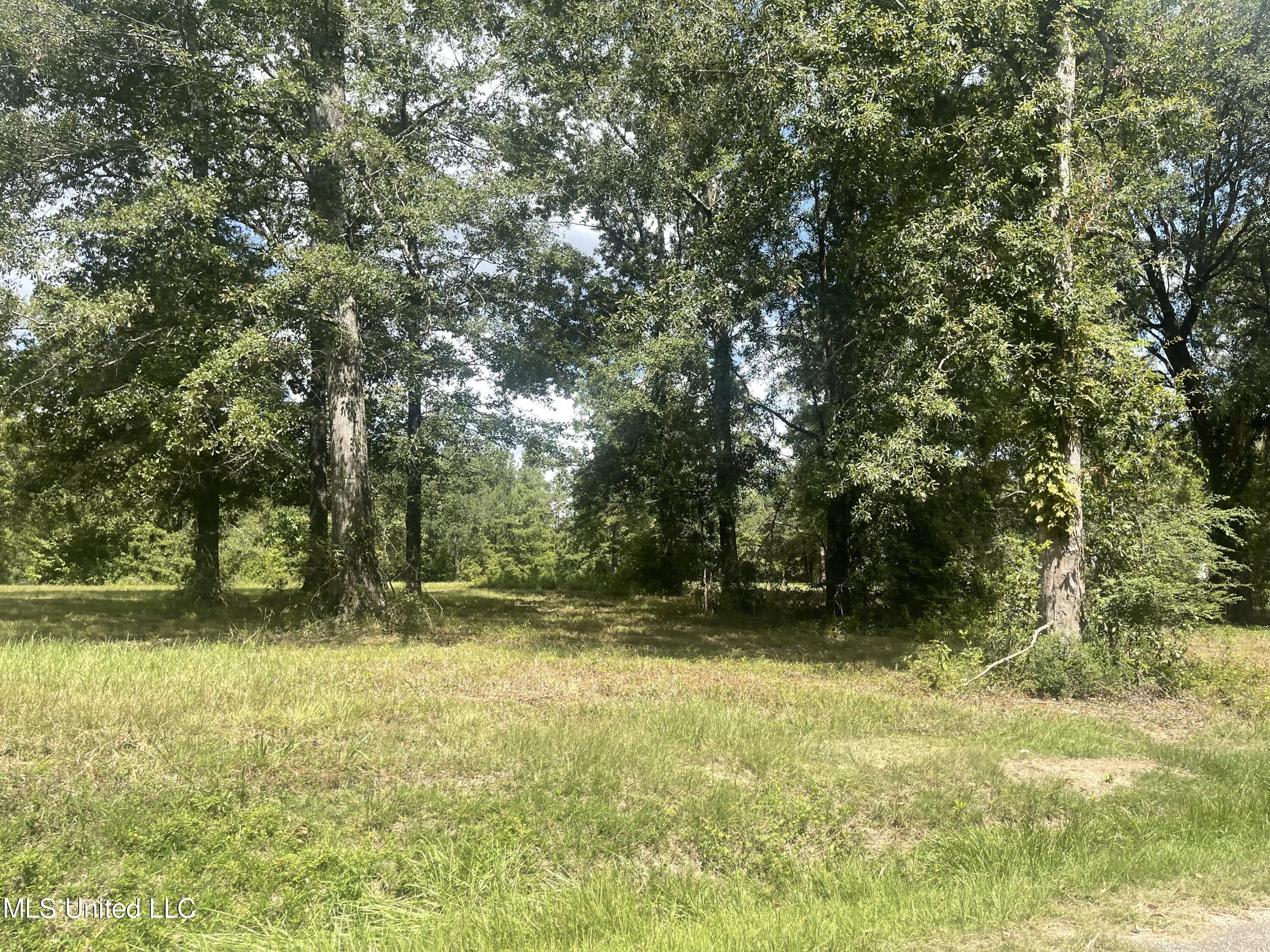 17 Hammock Road Carriere, MS 39426 - Photo 7 of 9 IMG_9639