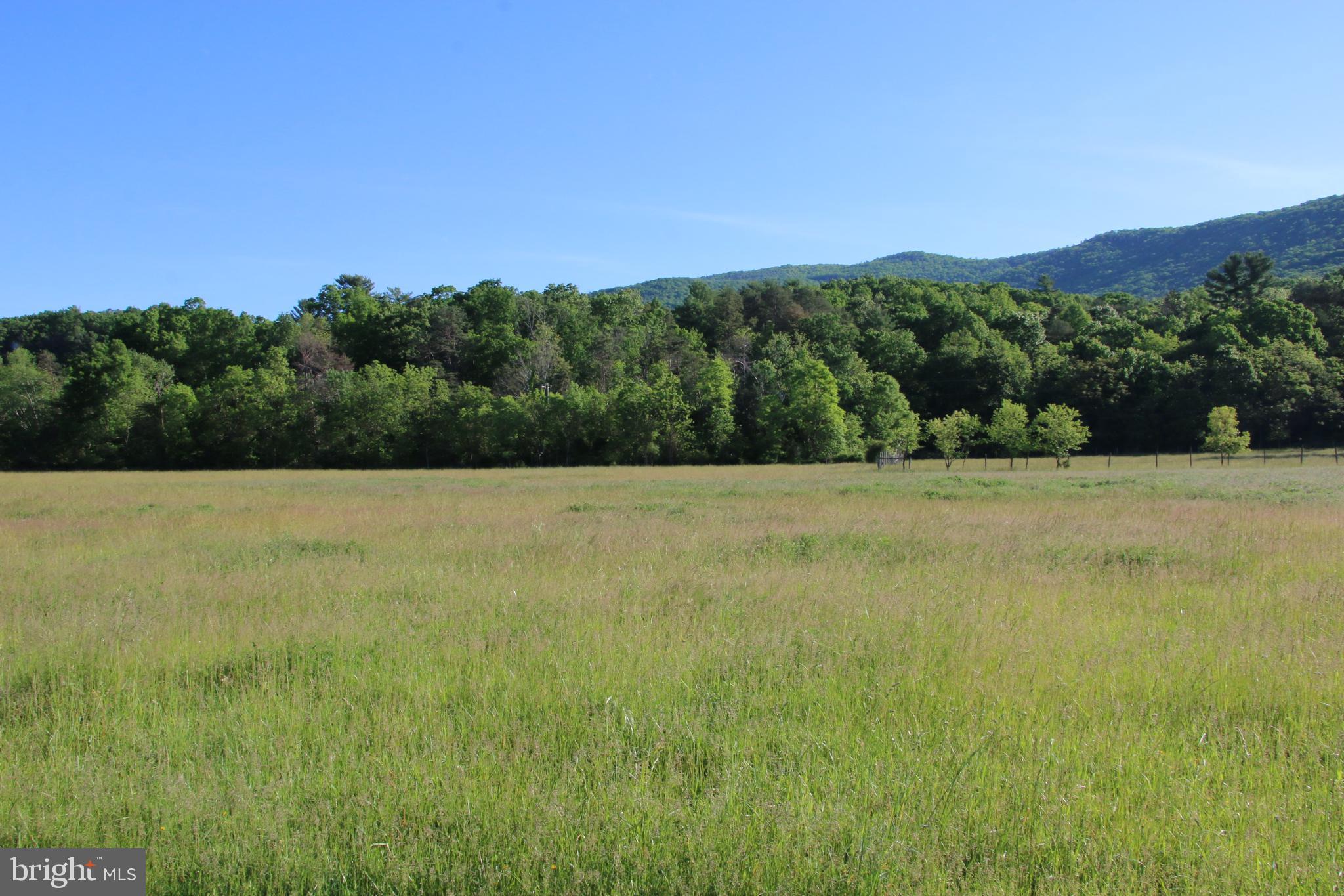 Naked Creek Road Elkton, VA 22827 - Photo 1 of 41