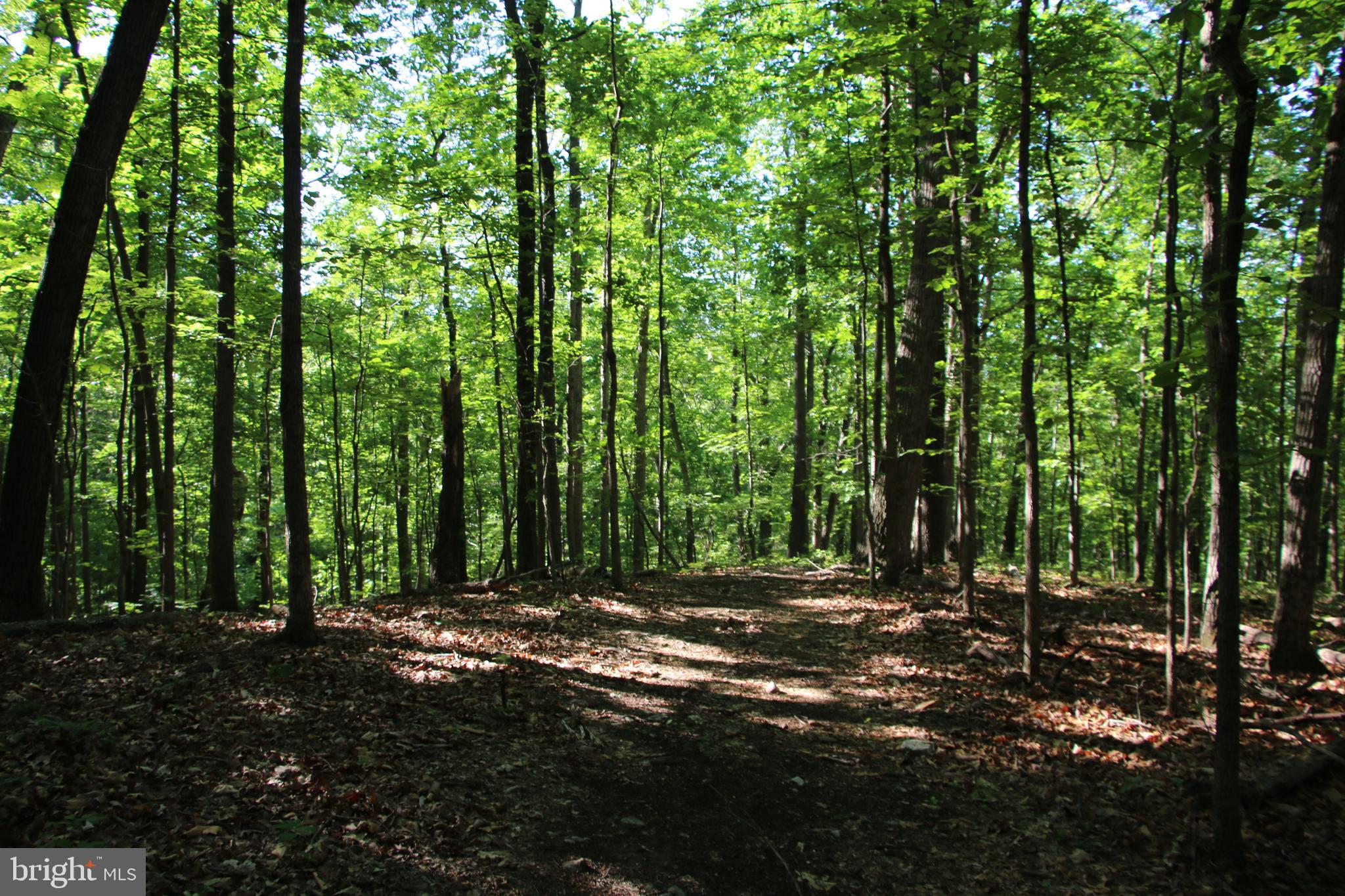 Naked Creek Road Elkton, VA 22827 - Photo 11 of 41