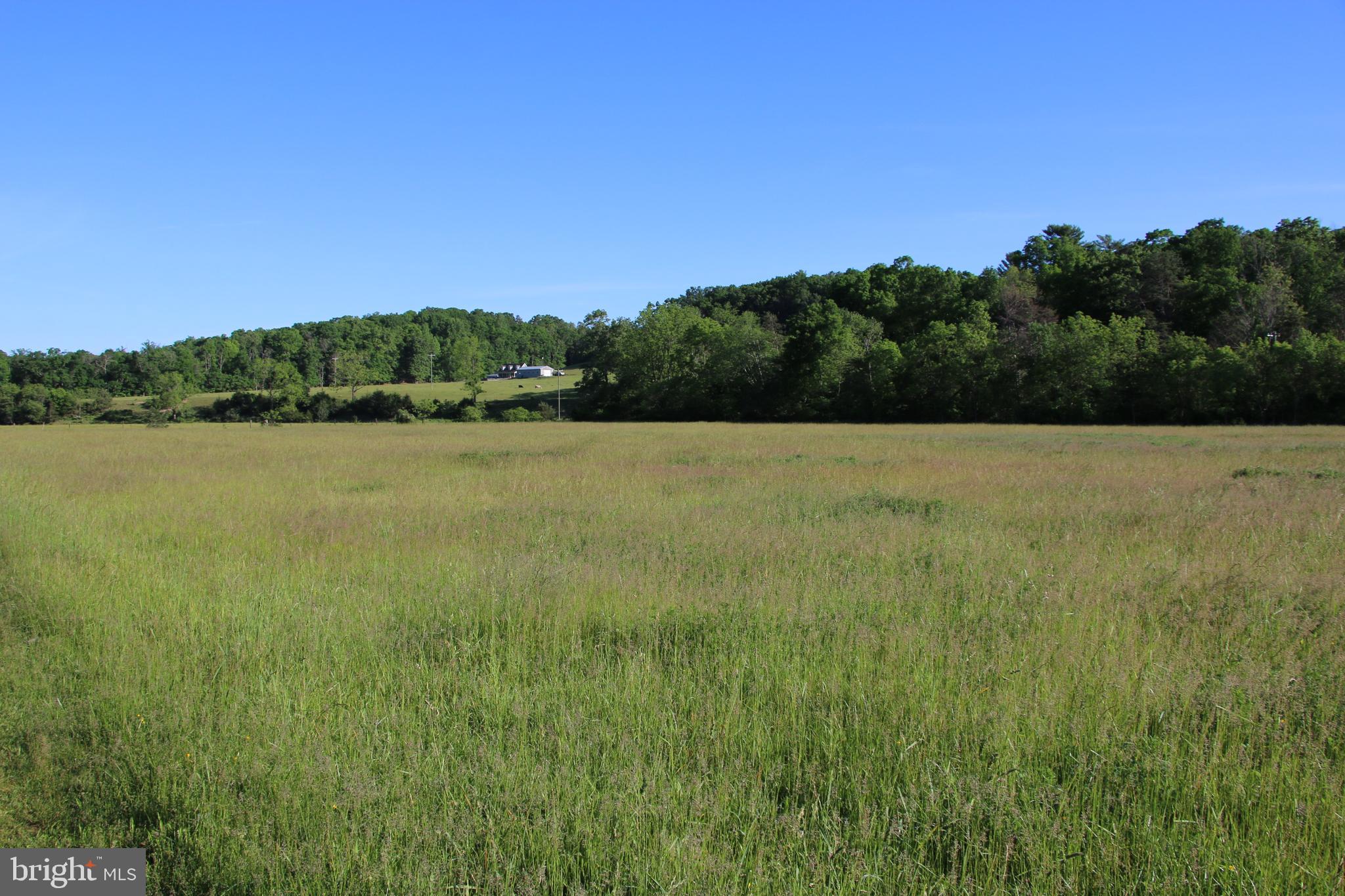 Naked Creek Road Elkton, VA 22827 - Photo 12 of 41