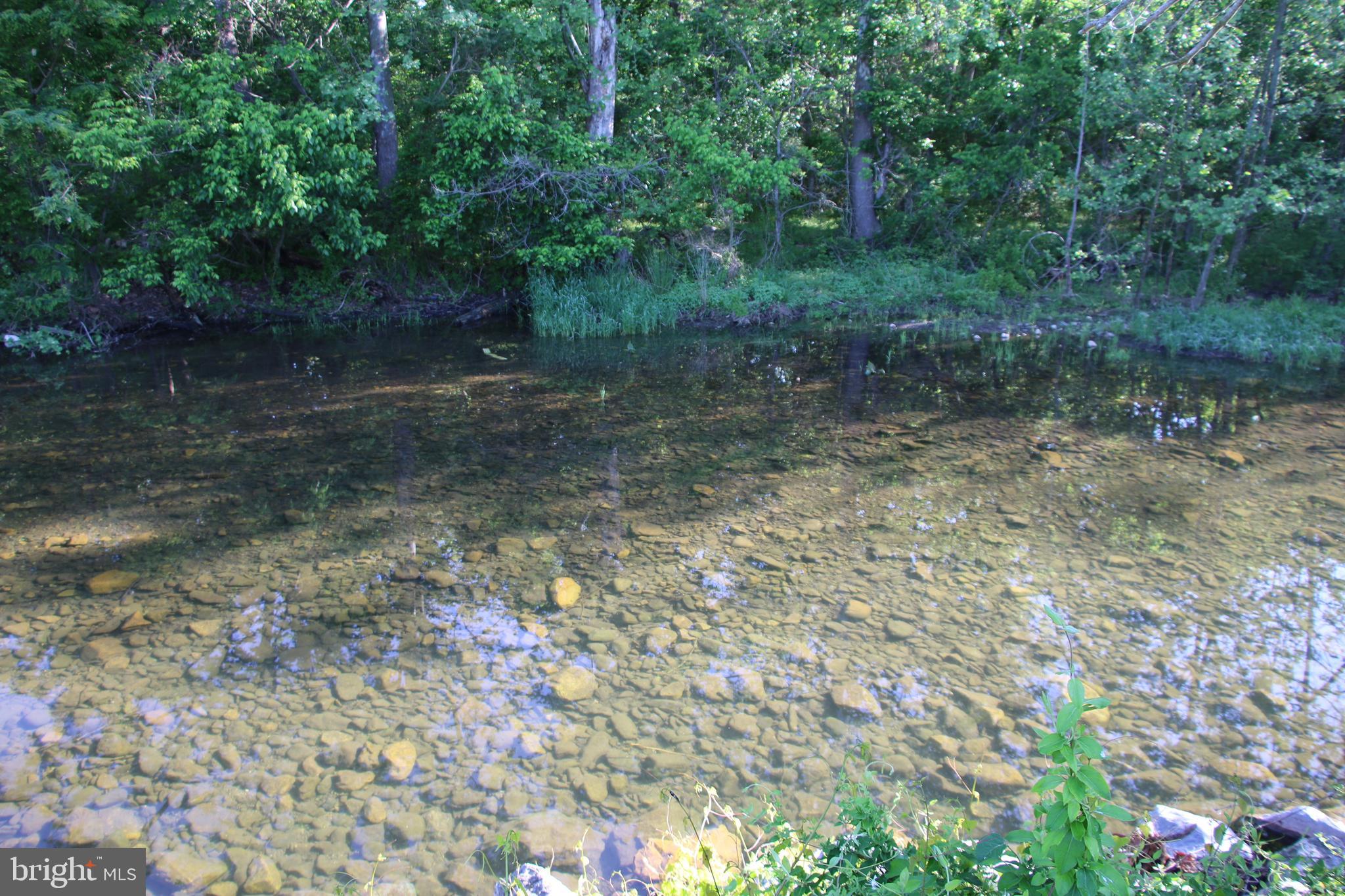 Naked Creek Road Elkton, VA 22827 - Photo 15 of 41
