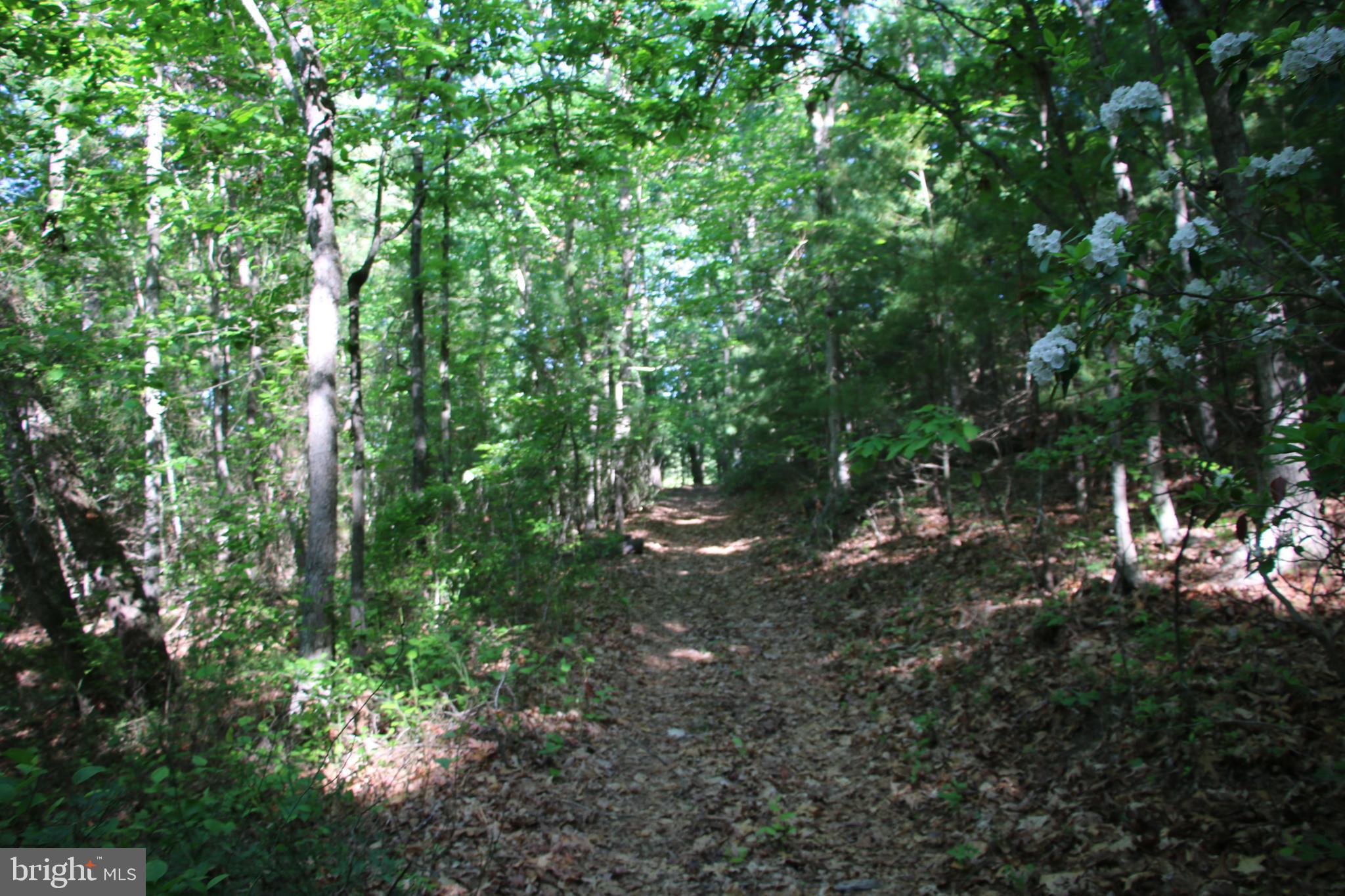 Naked Creek Road Elkton, VA 22827 - Photo 18 of 41