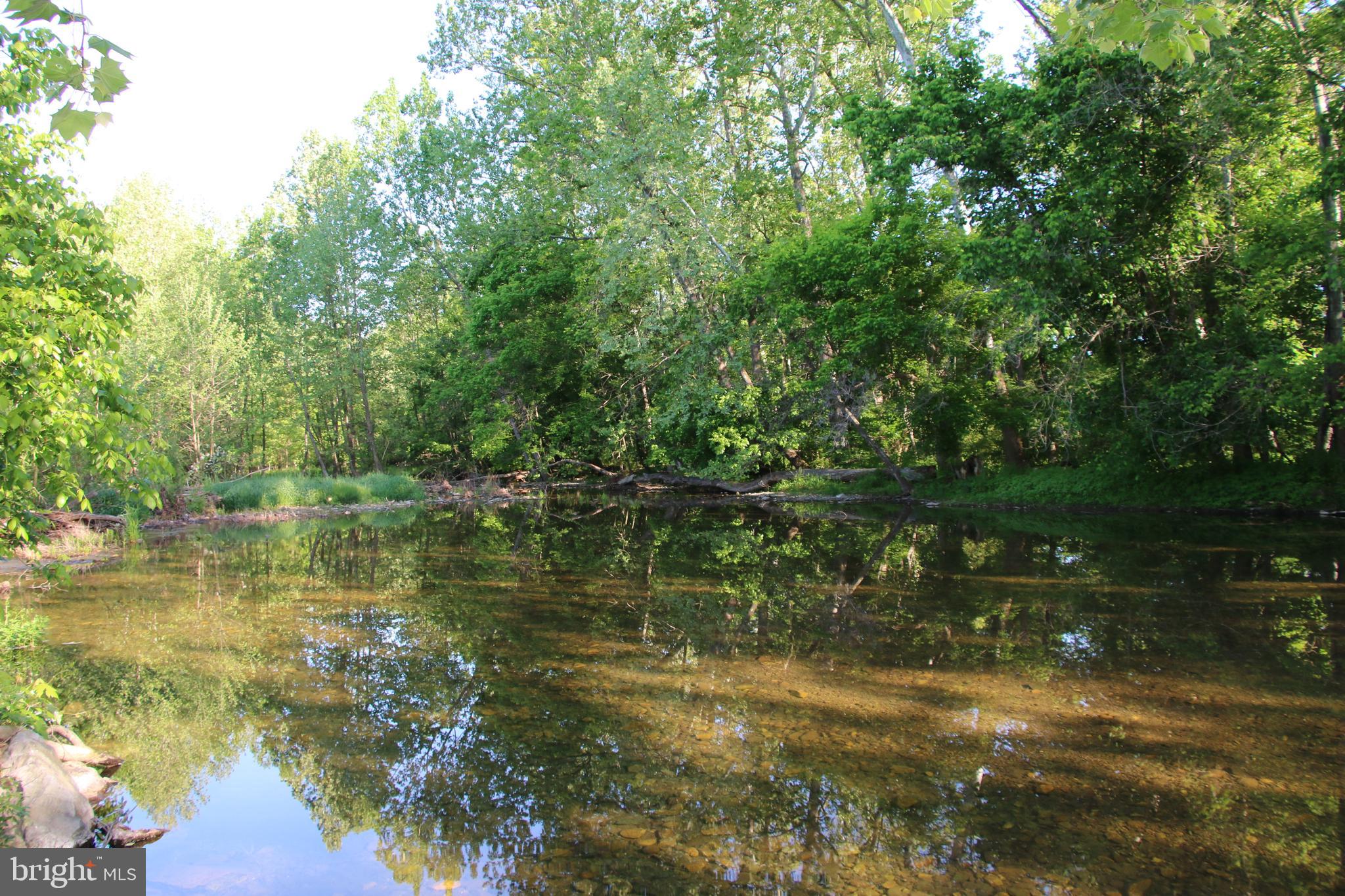 Naked Creek Road Elkton, VA 22827 - Photo 2 of 41