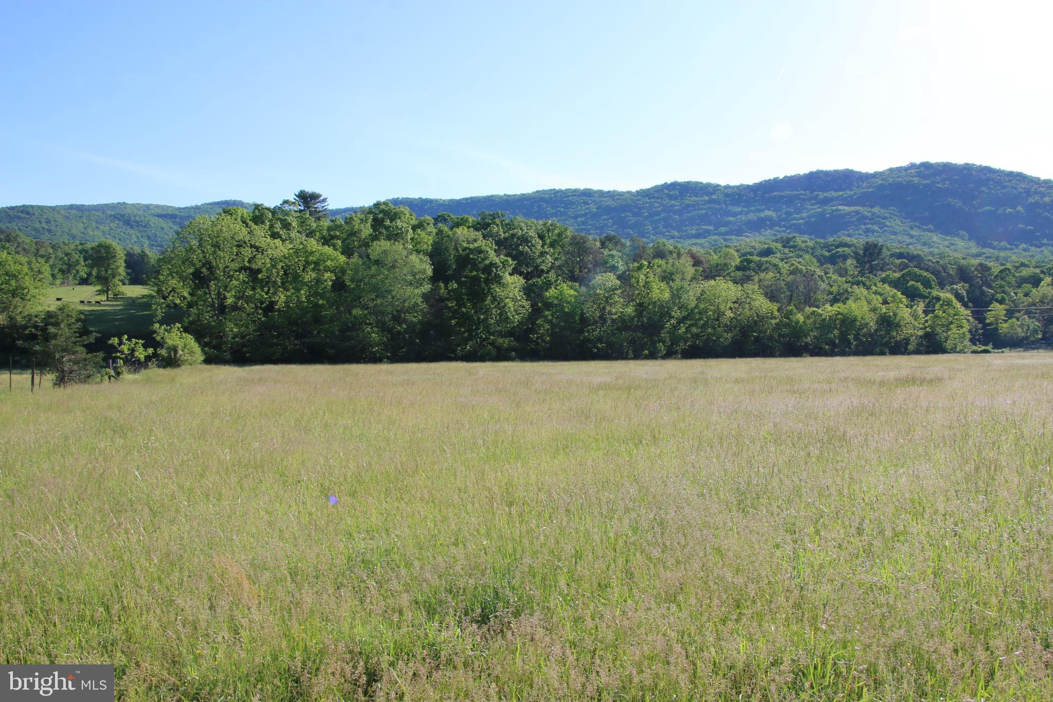 Naked Creek Road Elkton, VA 22827 - Photo 26 of 41