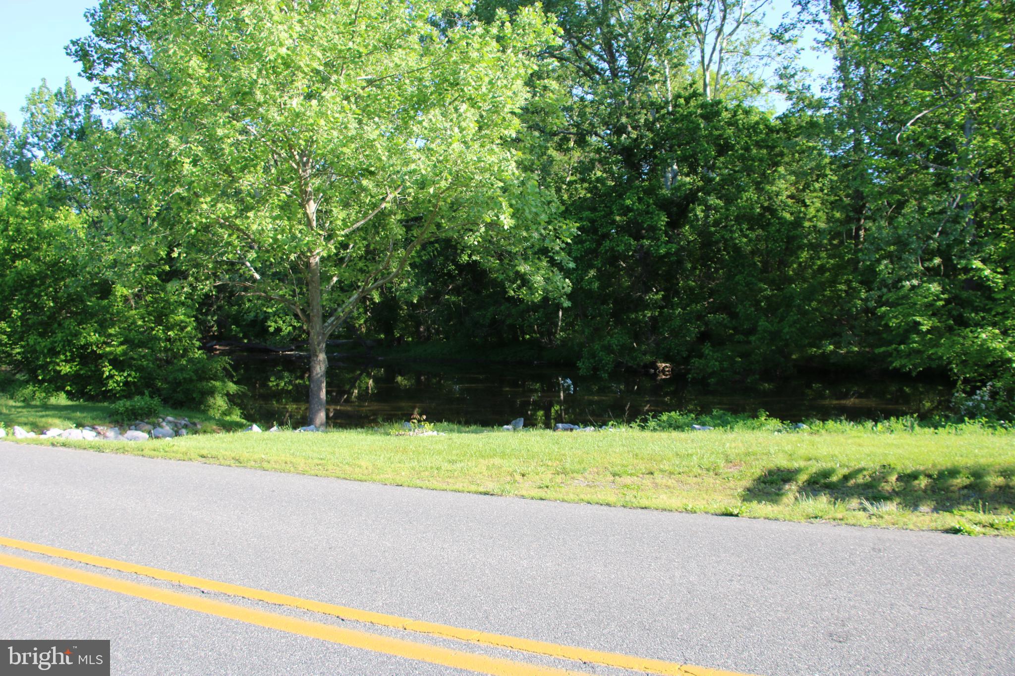 Naked Creek Road Elkton, VA 22827 - Photo 29 of 41