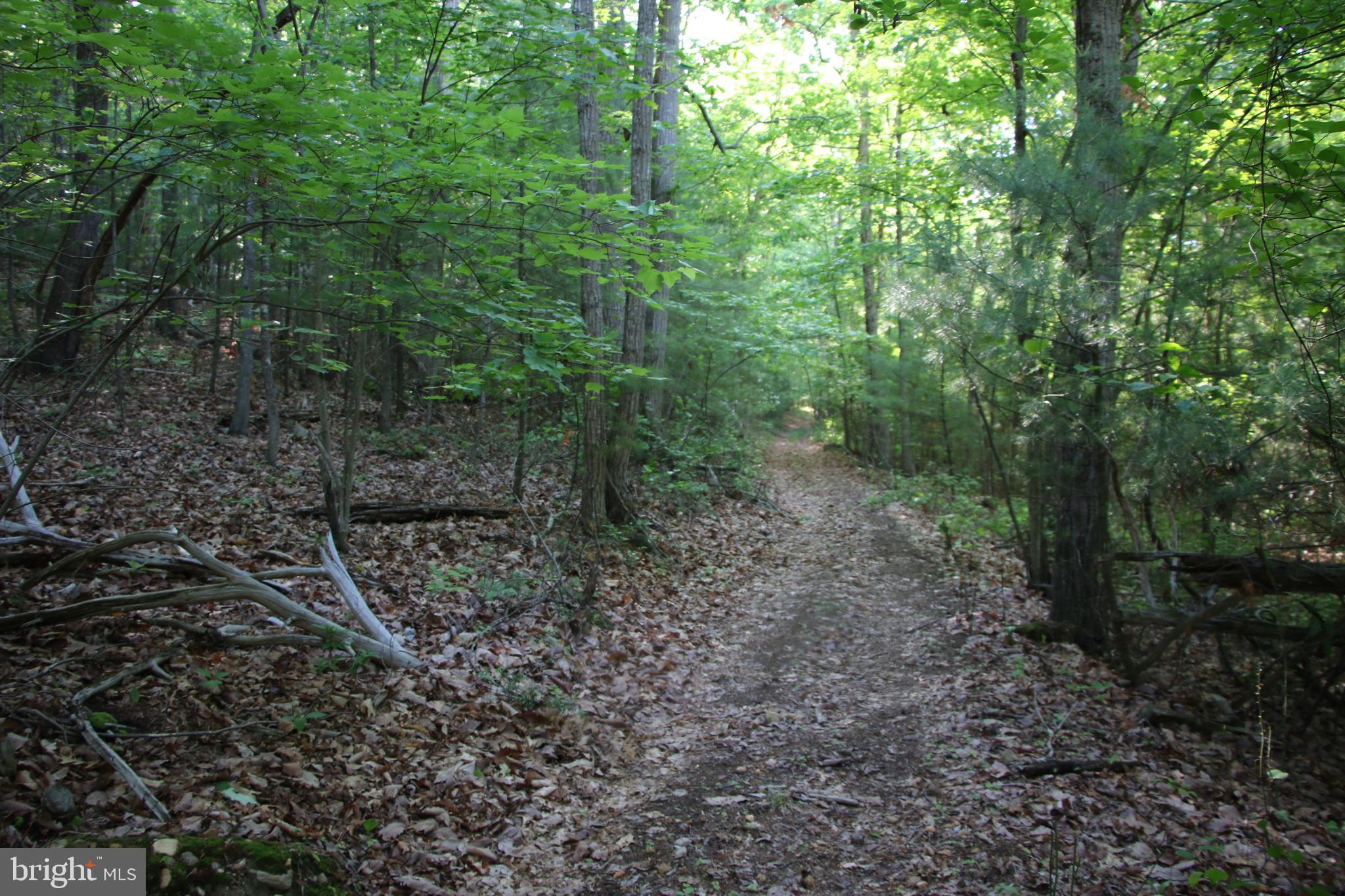 Naked Creek Road Elkton, VA 22827 - Photo 30 of 41