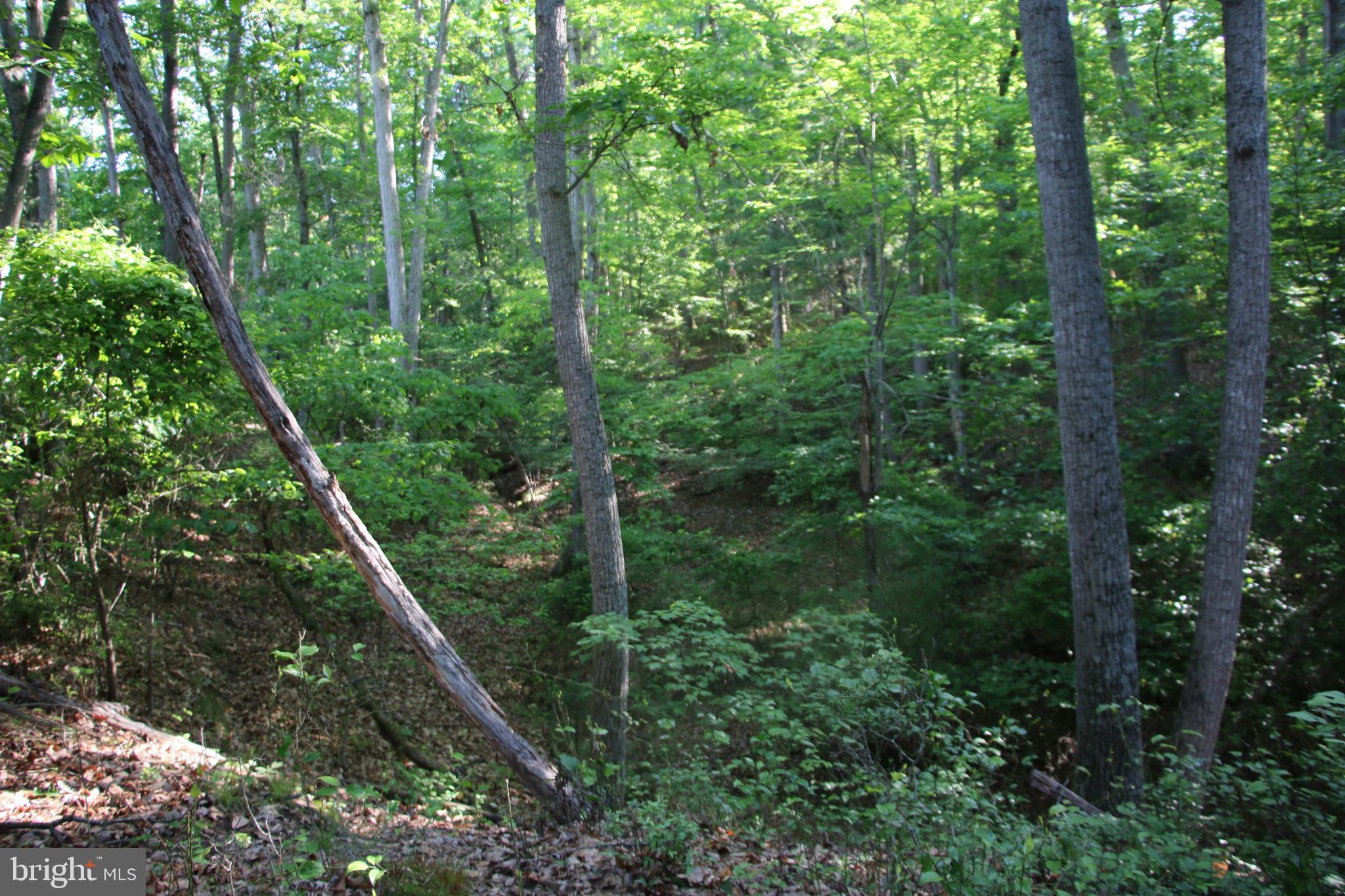 Naked Creek Road Elkton, VA 22827 - Photo 31 of 41