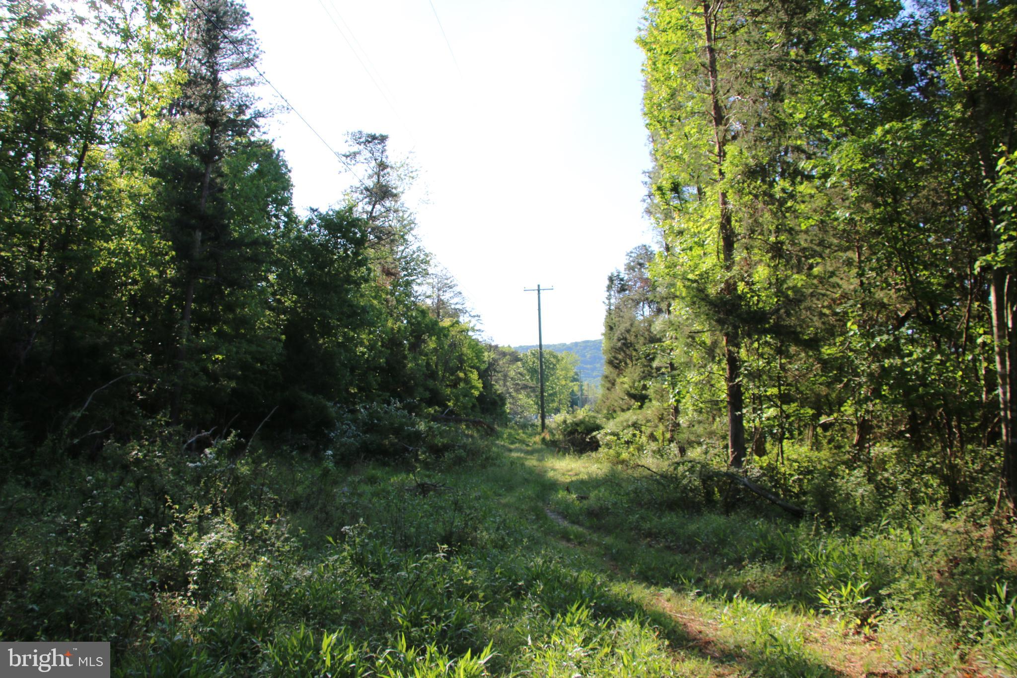 Naked Creek Road Elkton, VA 22827 - Photo 32 of 41