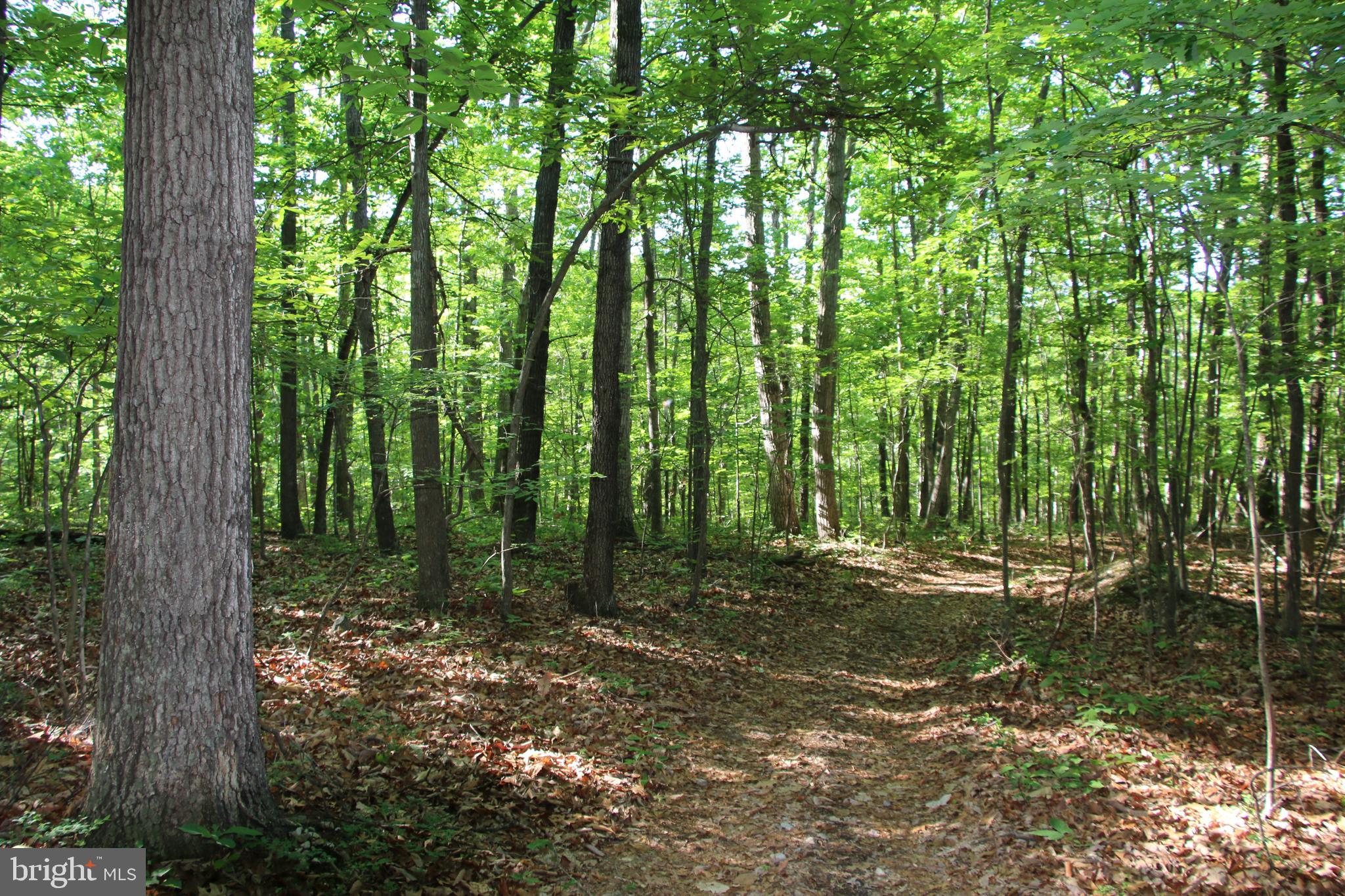 Naked Creek Road Elkton, VA 22827 - Photo 36 of 41