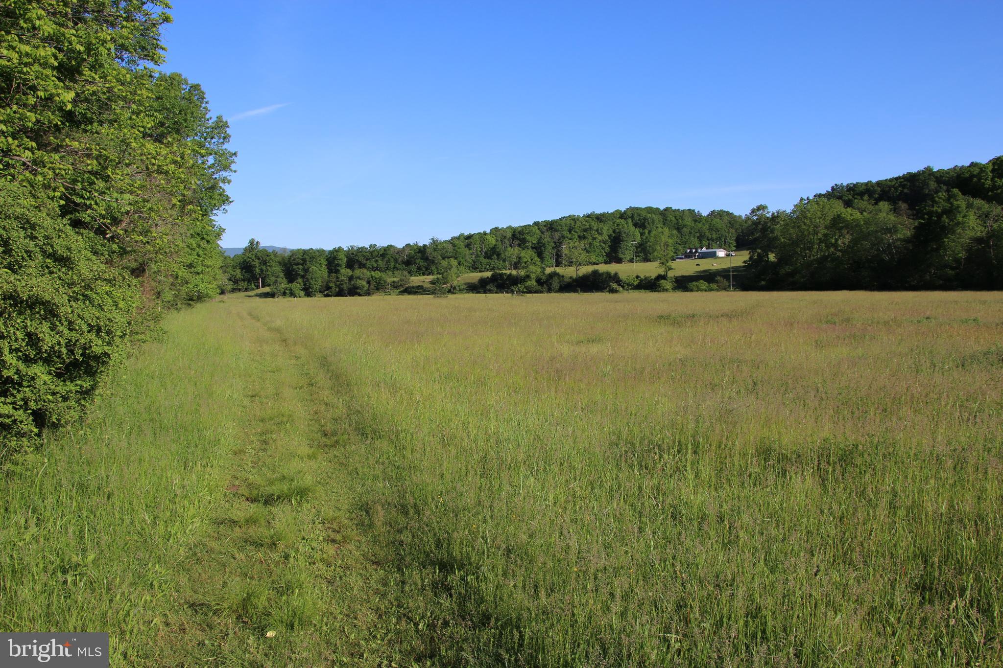 Naked Creek Road Elkton, VA 22827 - Photo 37 of 41