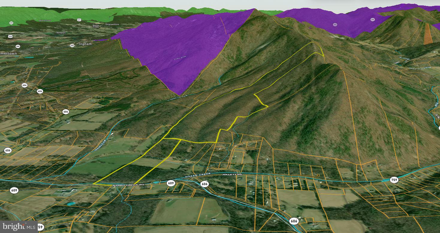 Naked Creek Road Elkton, VA 22827 - Photo 40 of 41