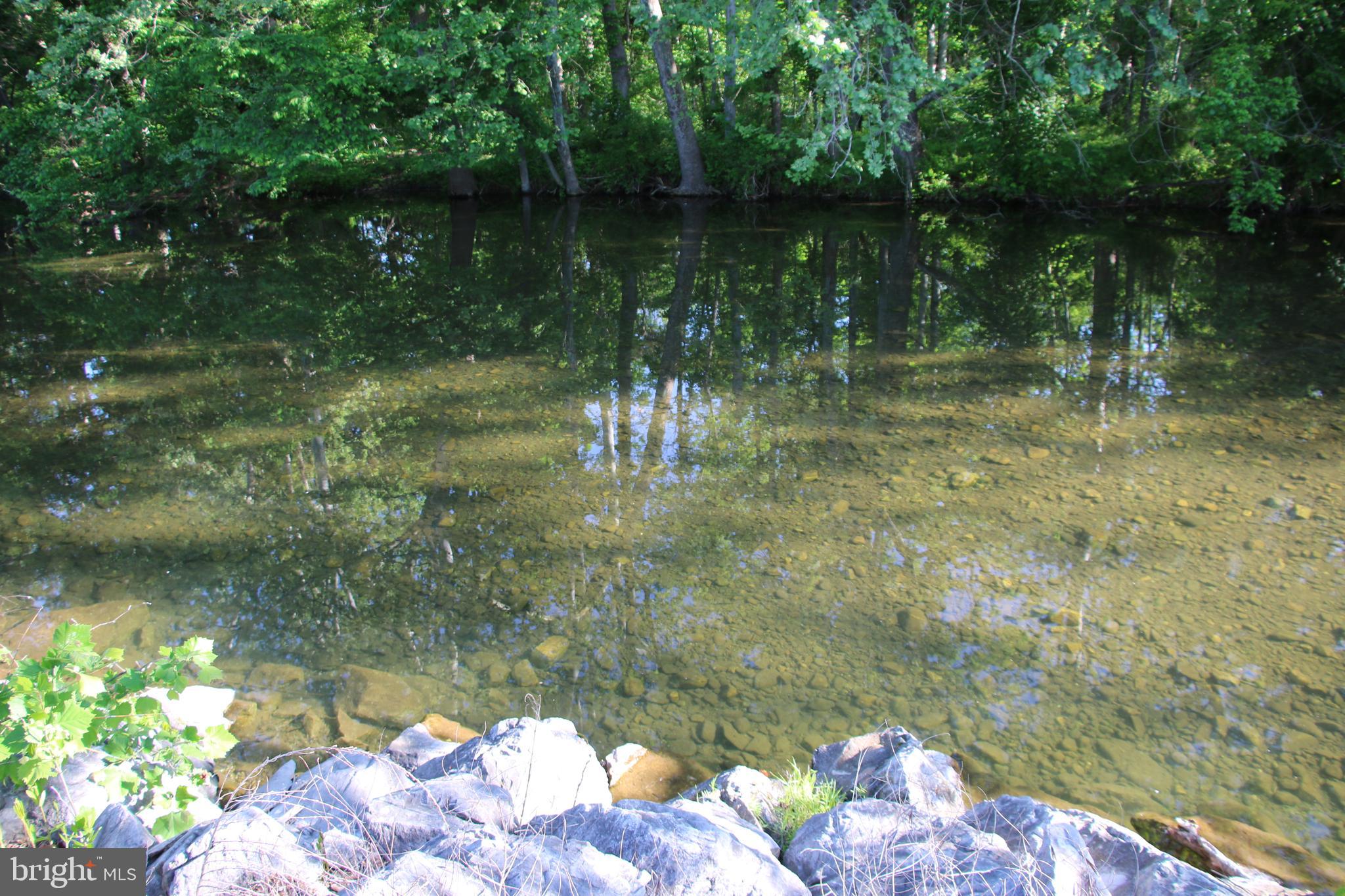 Naked Creek Road Elkton, VA 22827 - Photo 4 of 41